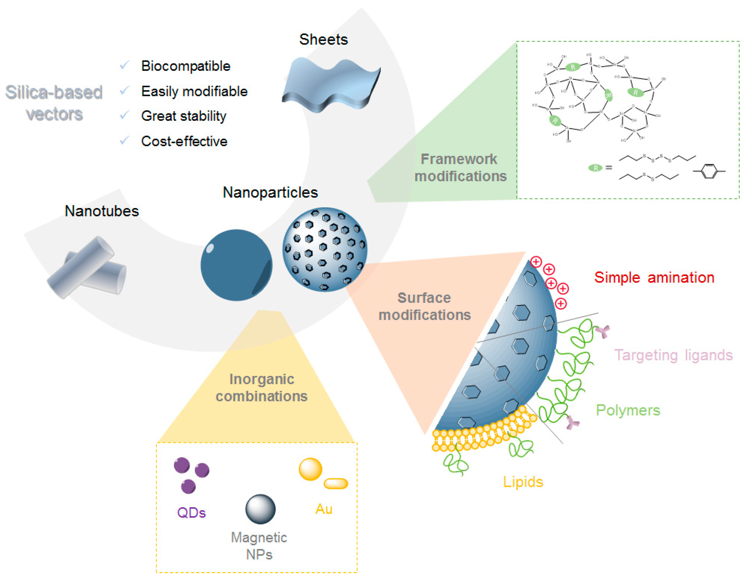 Pharmaceutics 12 00649 g002