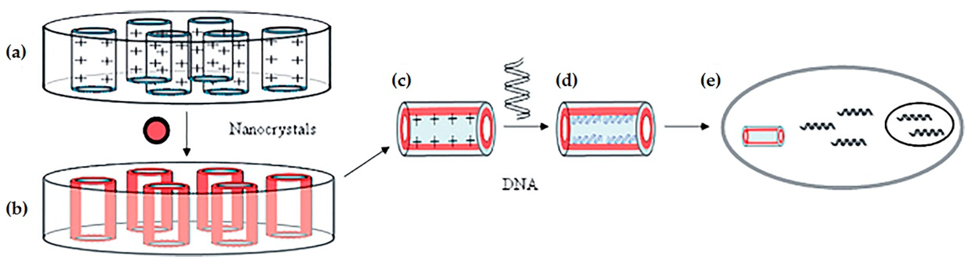 Pharmaceutics 12 00649 g004