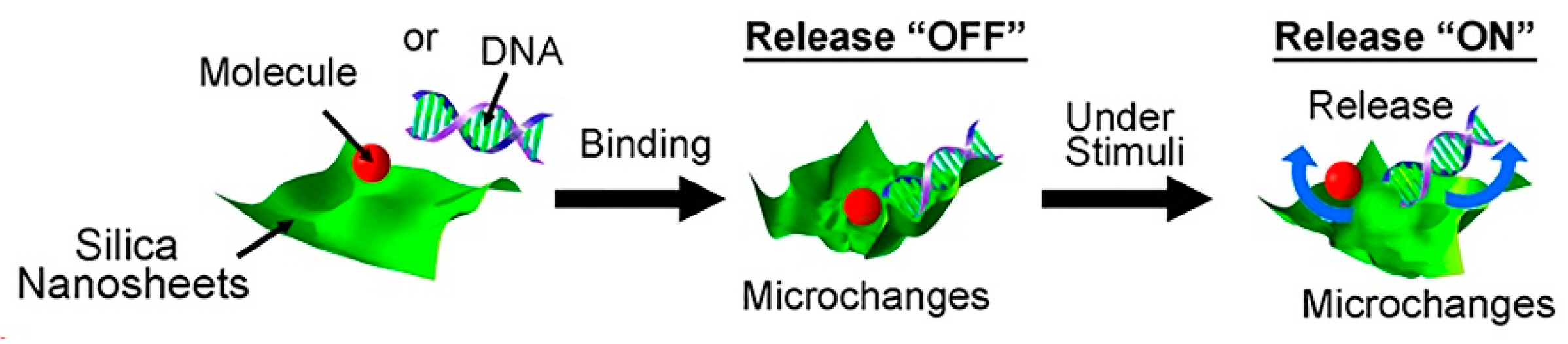 Pharmaceutics 12 00649 g007