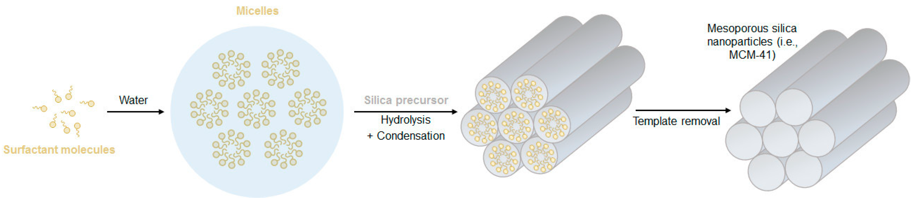 Pharmaceutics 12 00649 g008