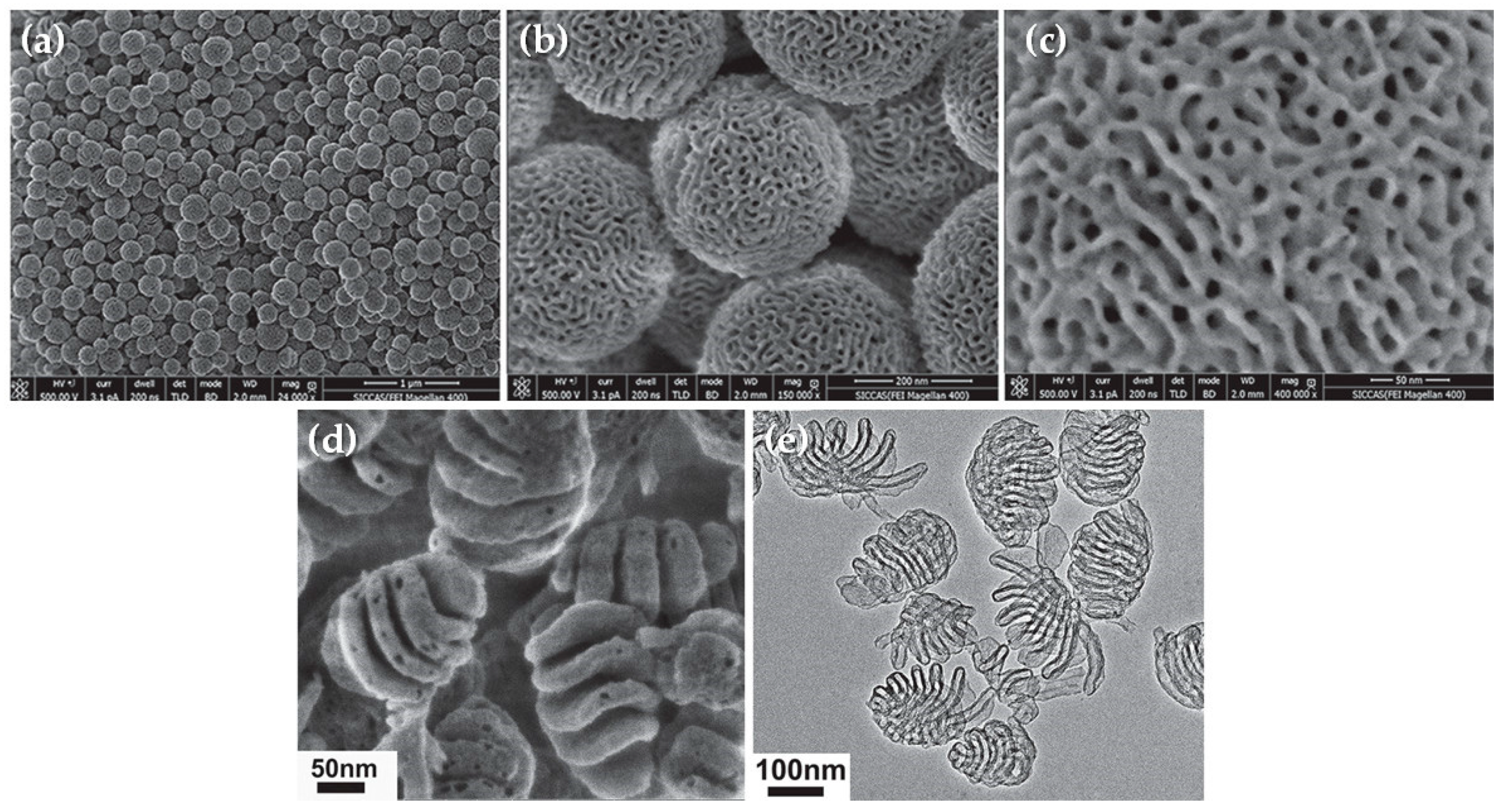 Pharmaceutics 12 00649 g009