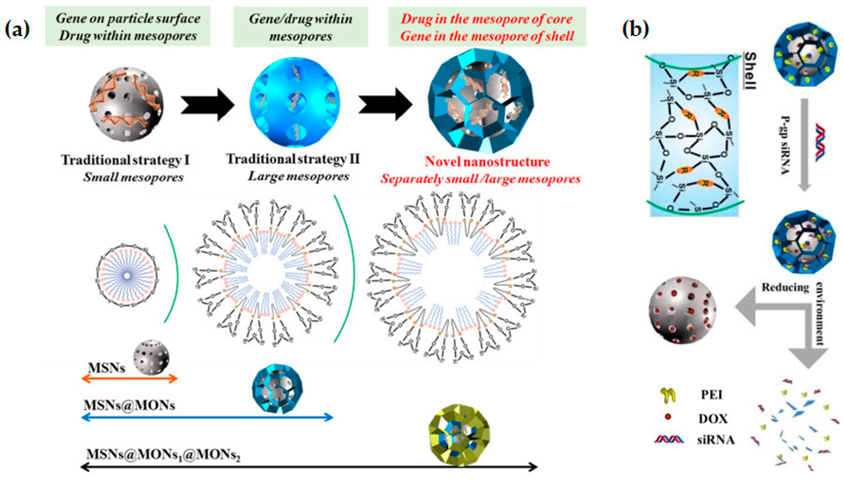 Pharmaceutics 12 00649 g010