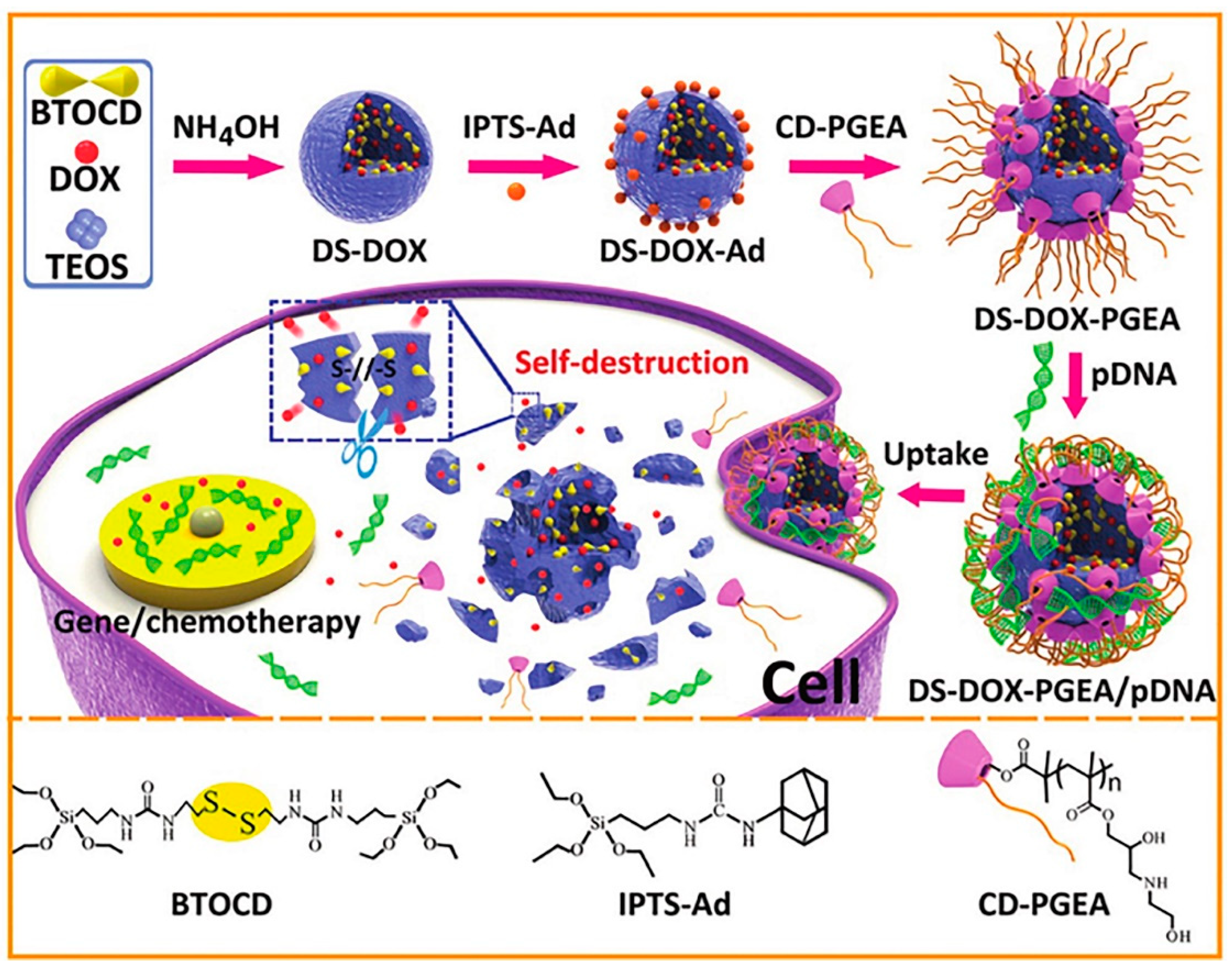 Pharmaceutics 12 00649 g012