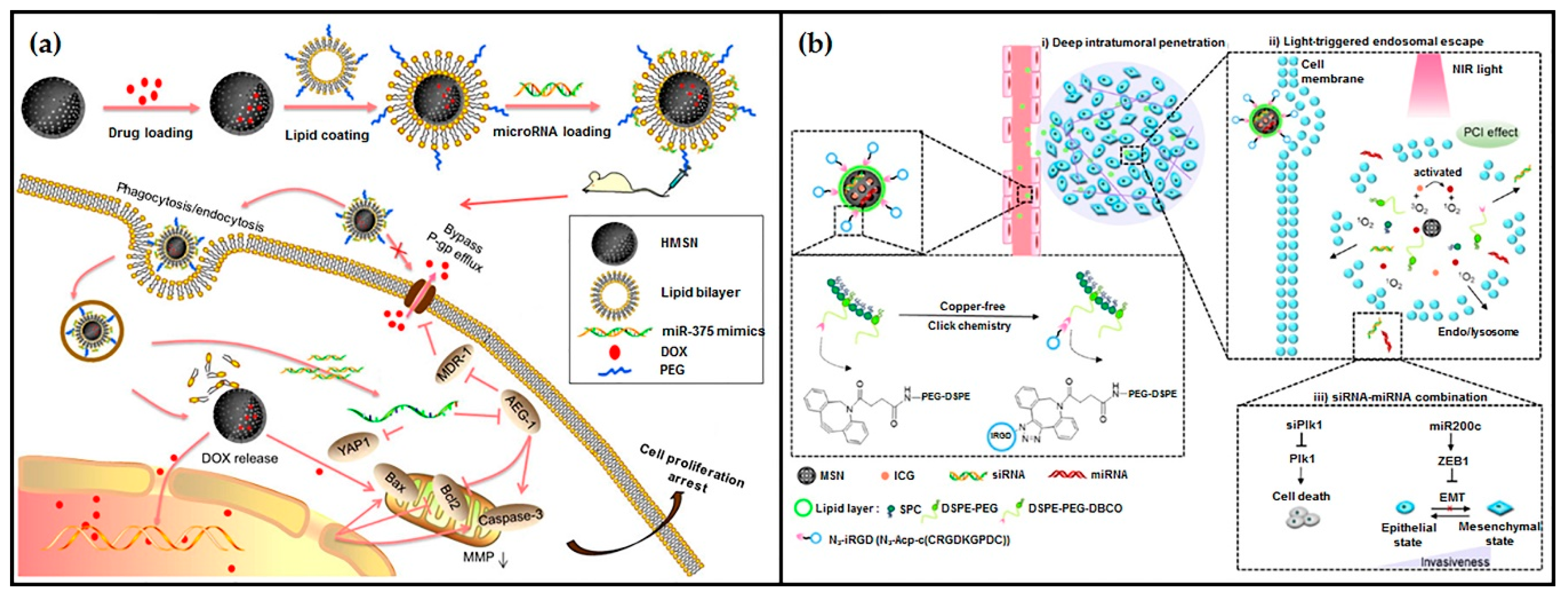 Pharmaceutics 12 00649 g016