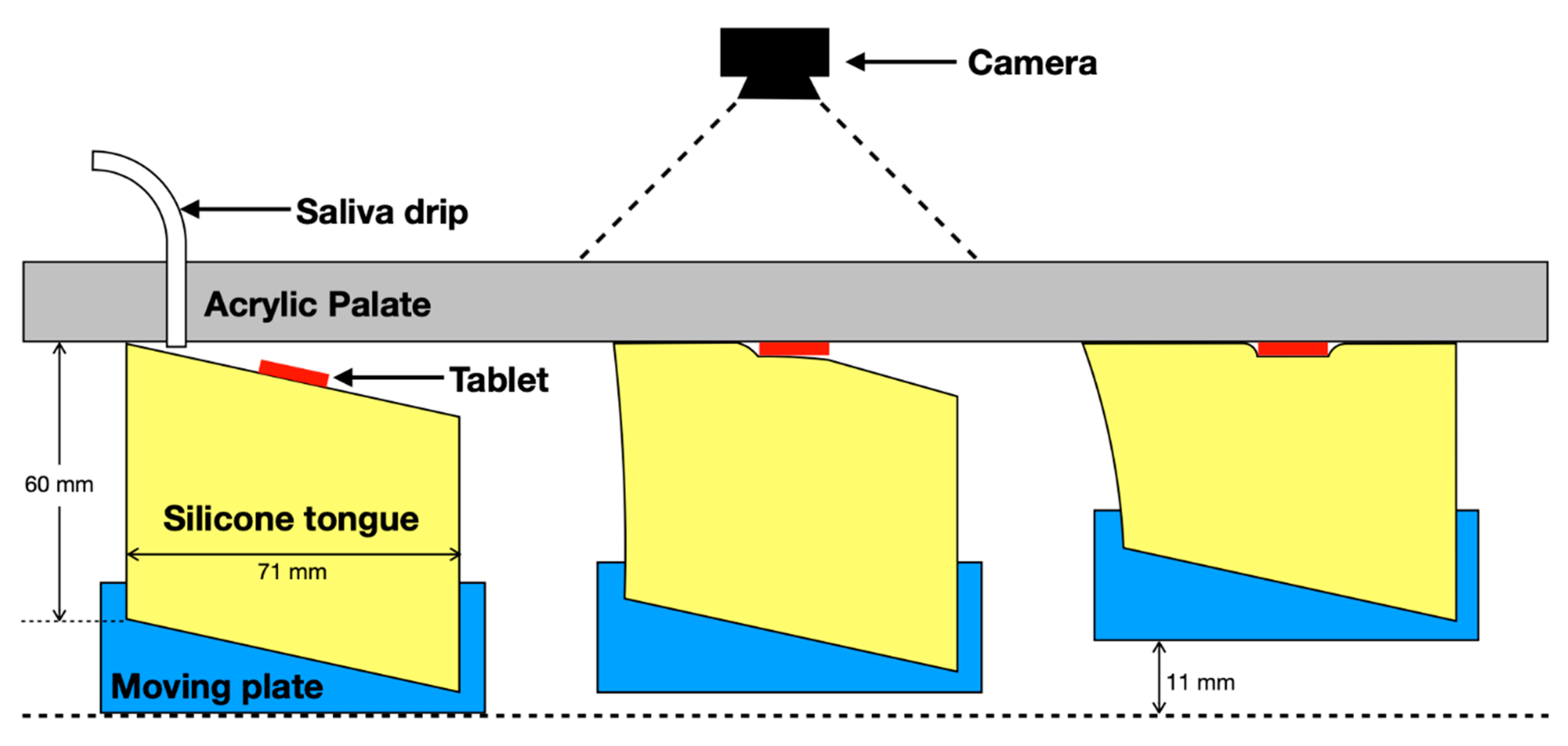 Pharmaceutics 12 00651 g001