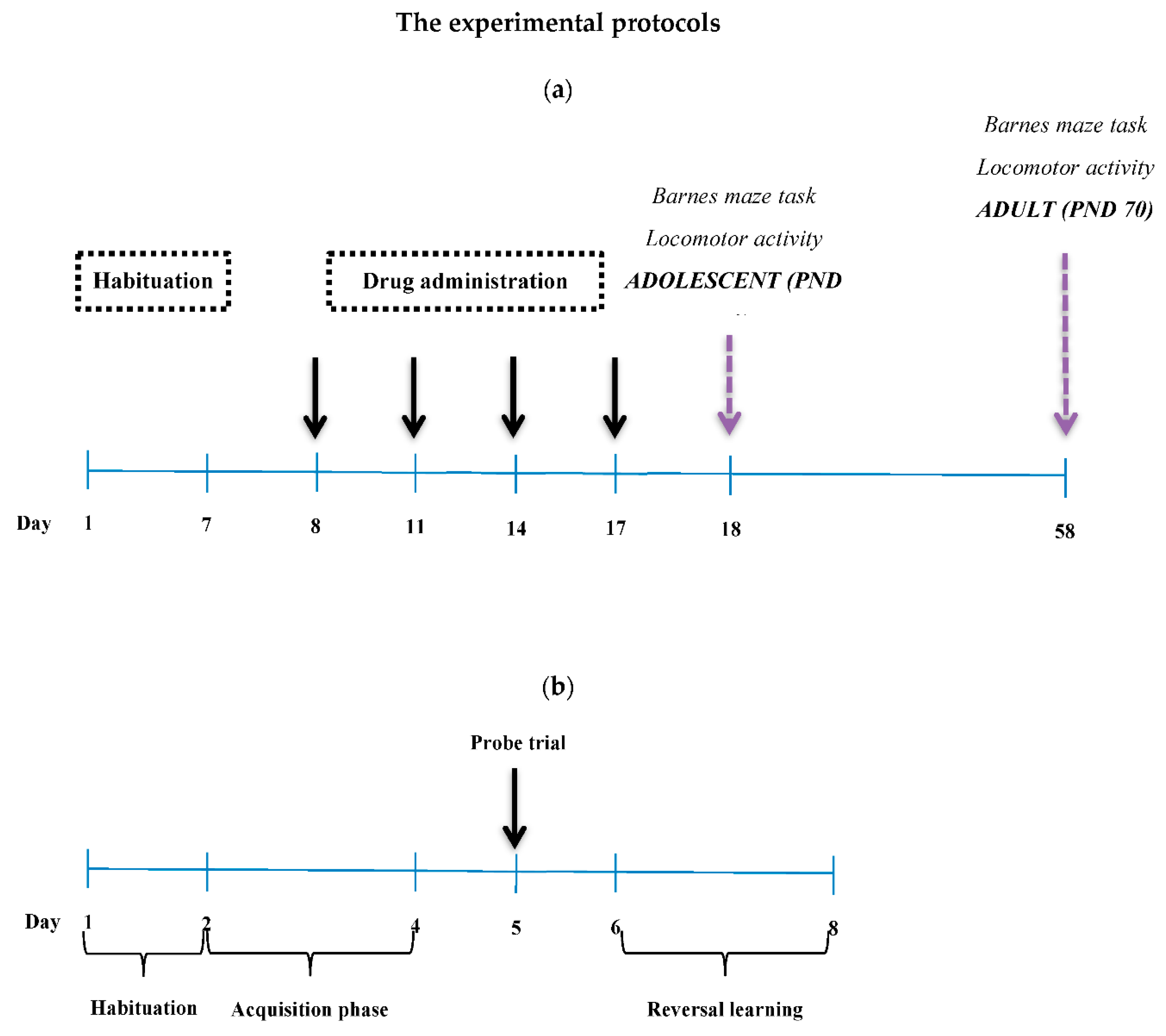Pharmaceutics 12 00654 g001 Pharmaceutics 12 00654 g001
