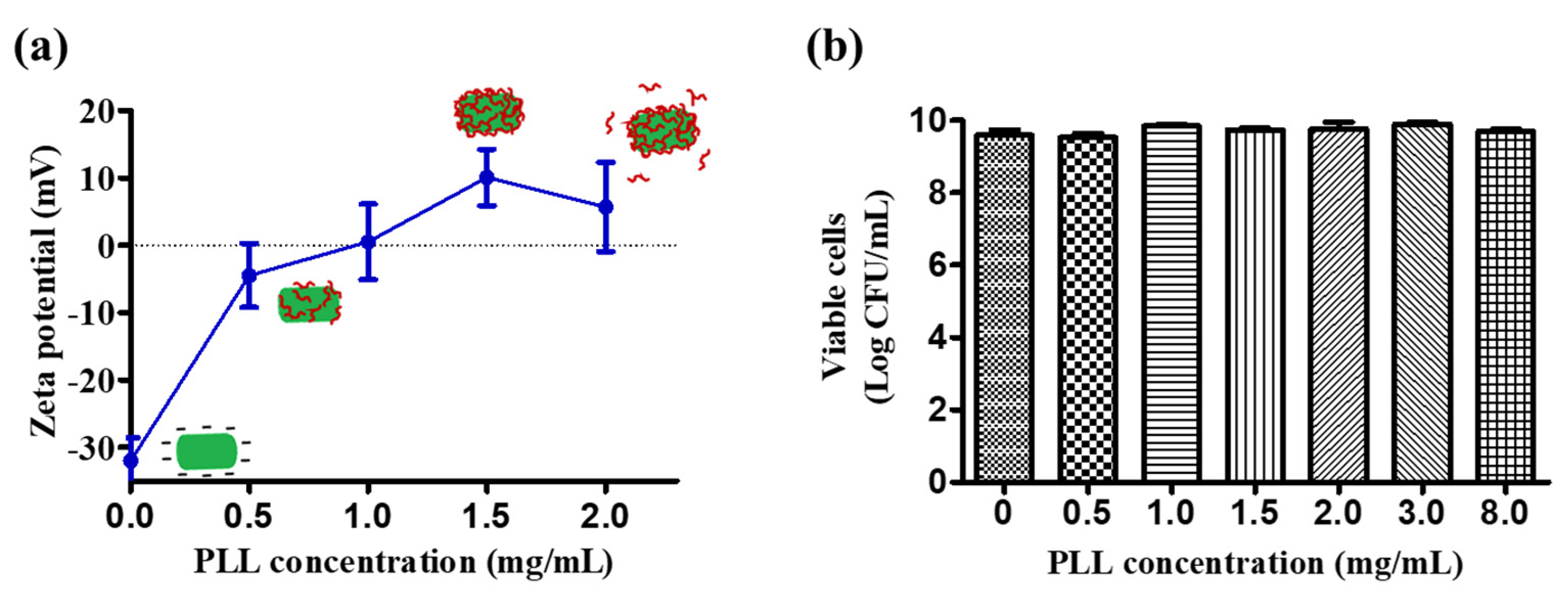 Pharmaceutics 12 00662 g001 Pharmaceutics 12 00662 g001