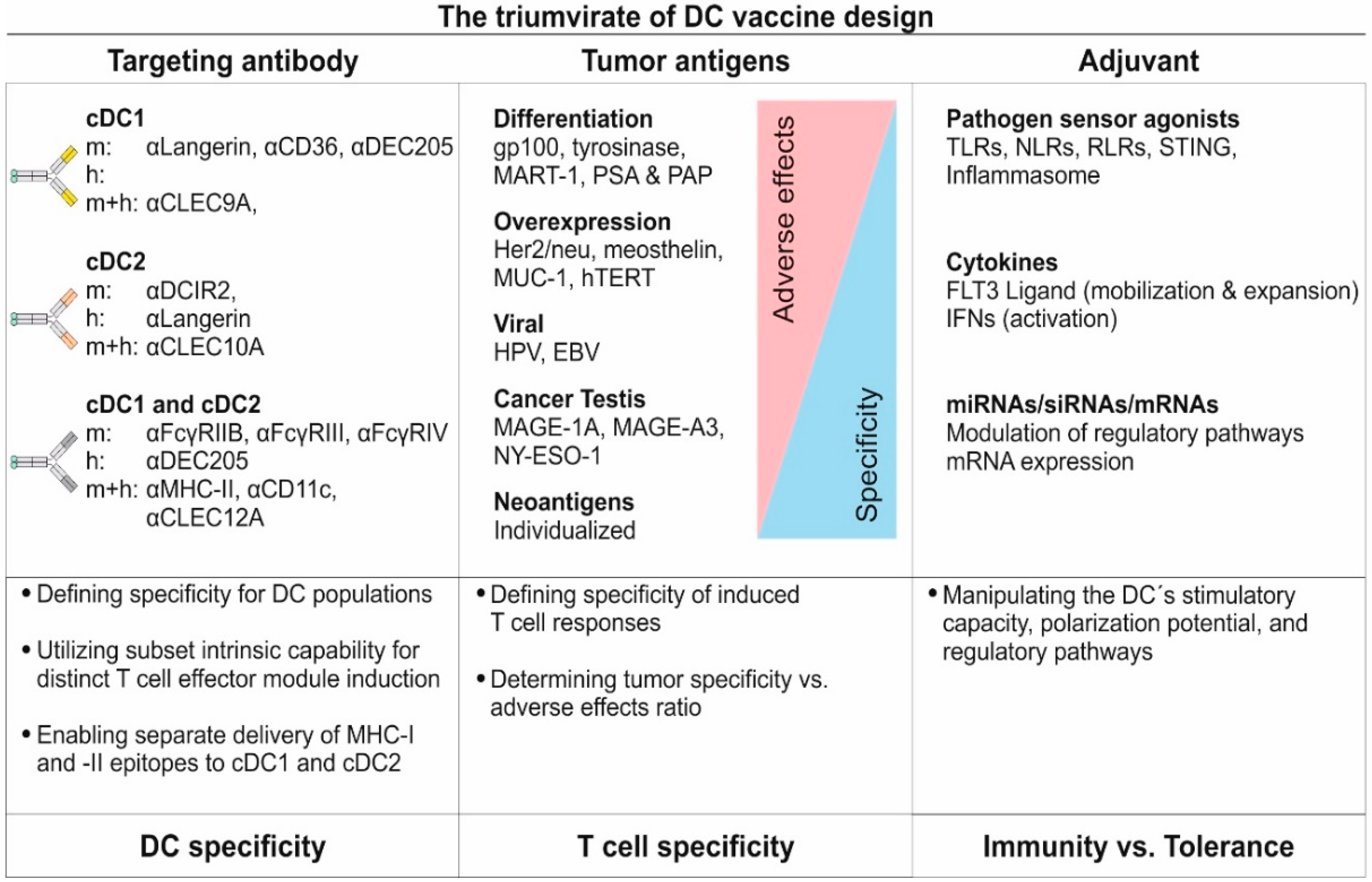 Pharmaceutics 12 00663 g004