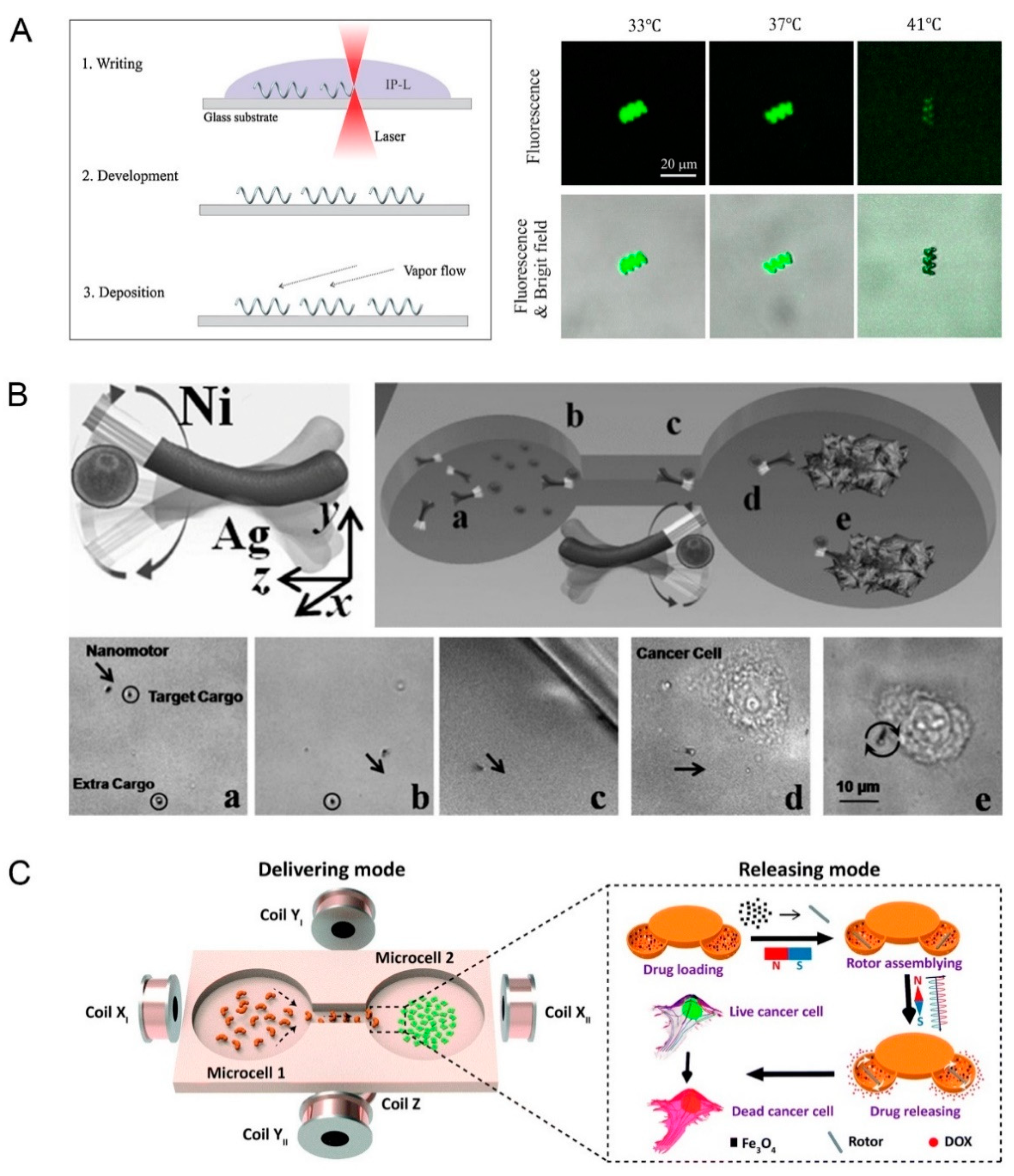 Pharmaceutics 12 00665 g001 Pharmaceutics 12 00665 g001