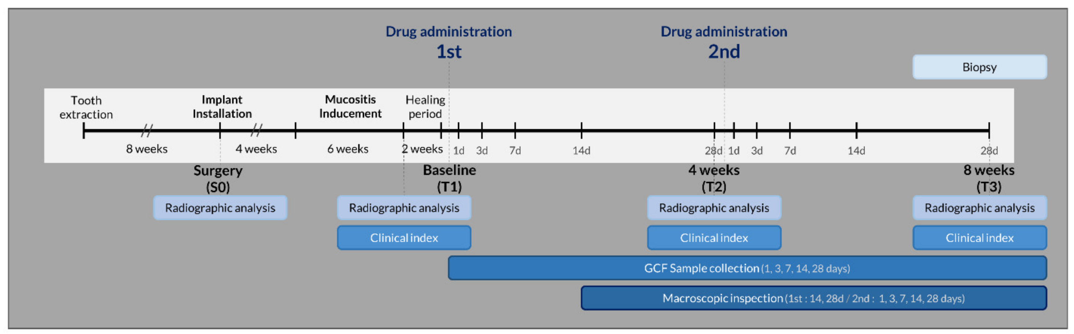 Pharmaceutics 12 00668 g001 Pharmaceutics 12 00668 g001