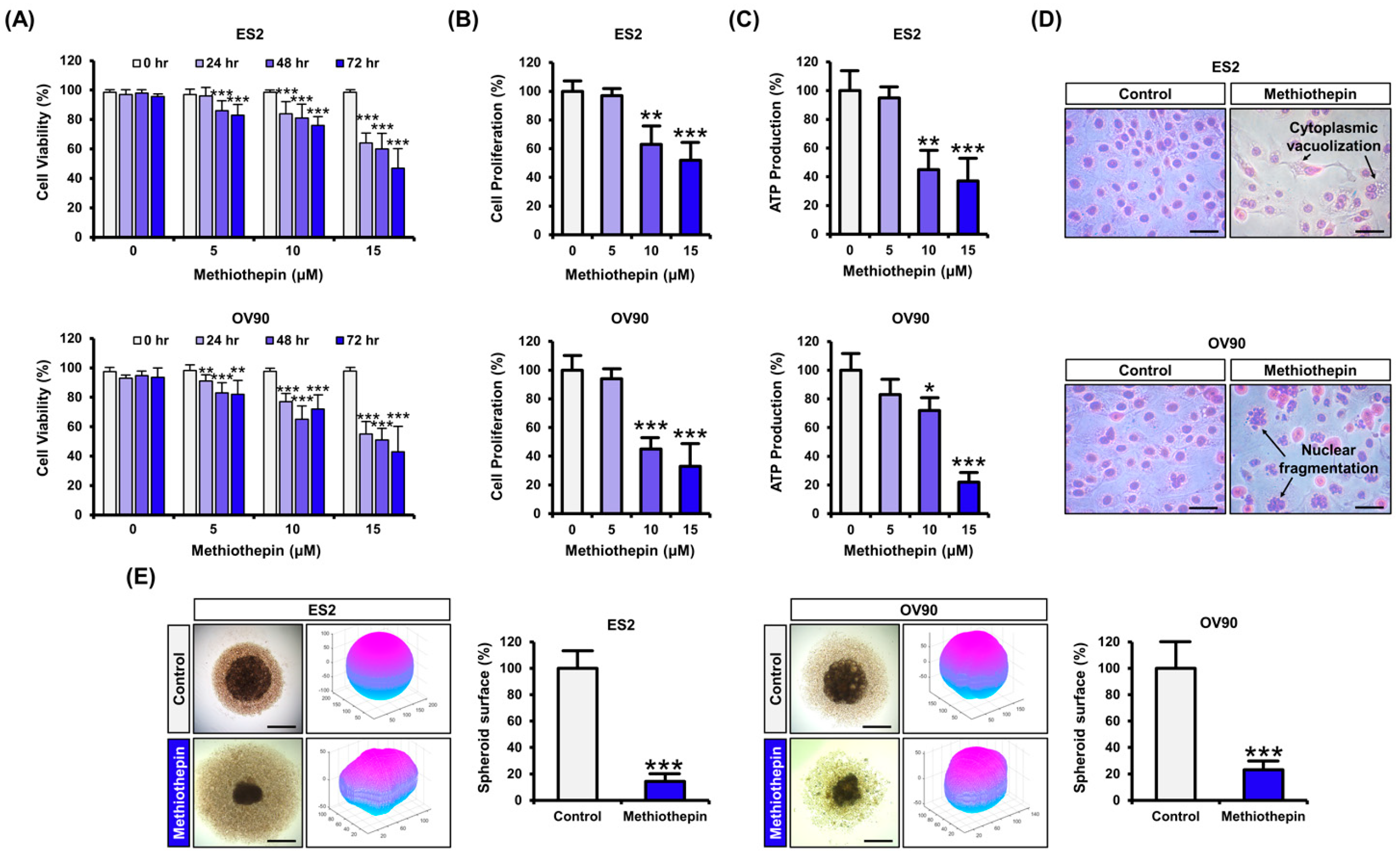 Pharmaceutics 12 00686 g001