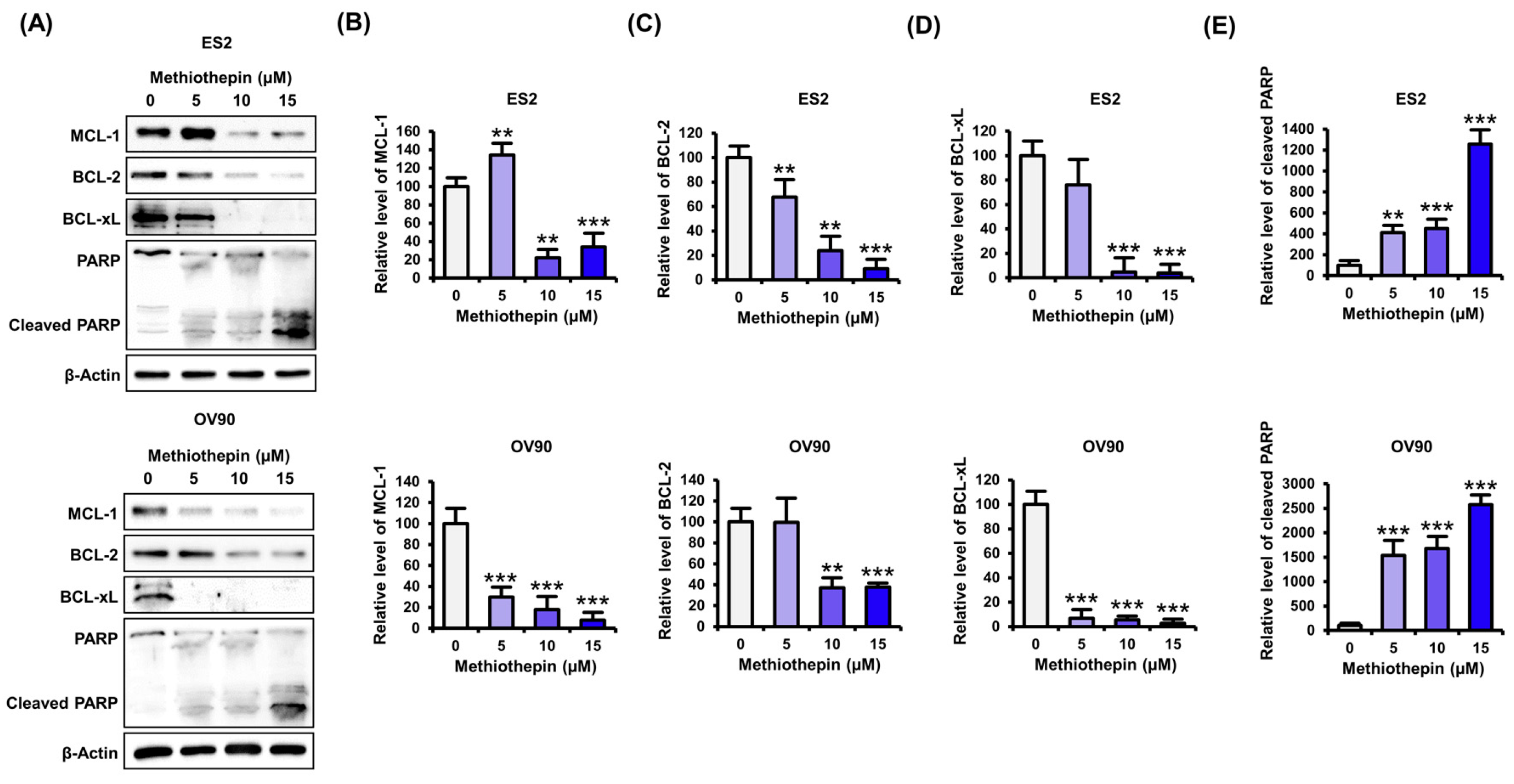Pharmaceutics 12 00686 g003