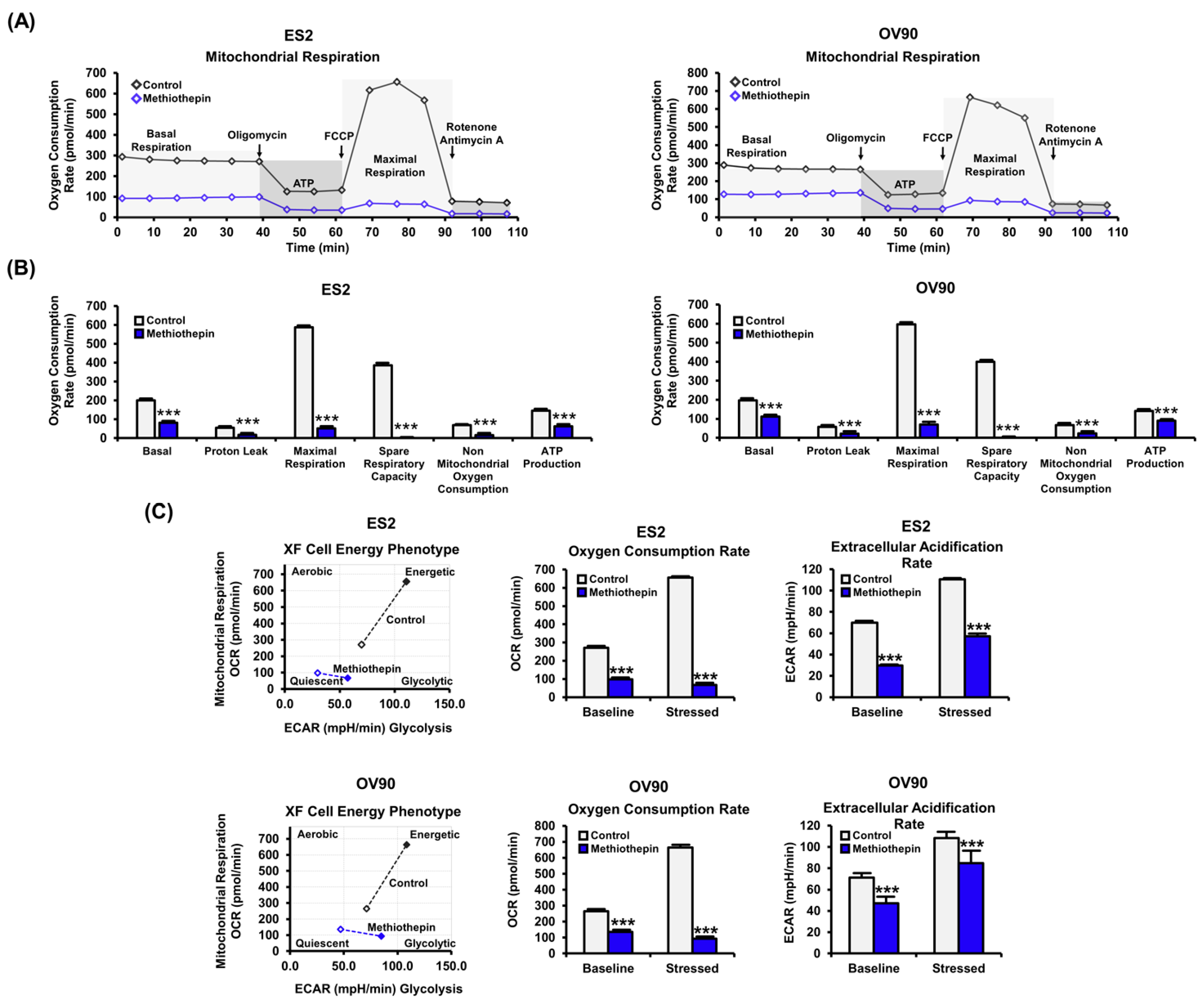 Pharmaceutics 12 00686 g005