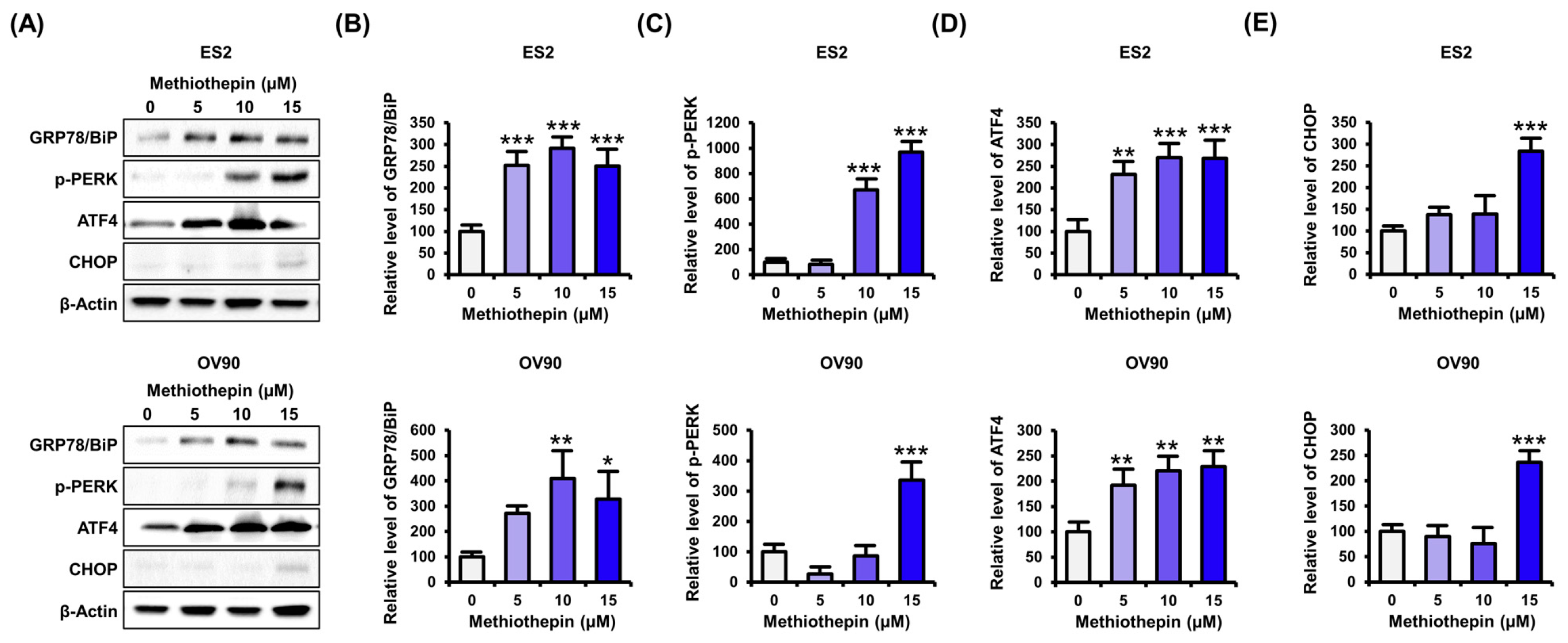 Pharmaceutics 12 00686 g006