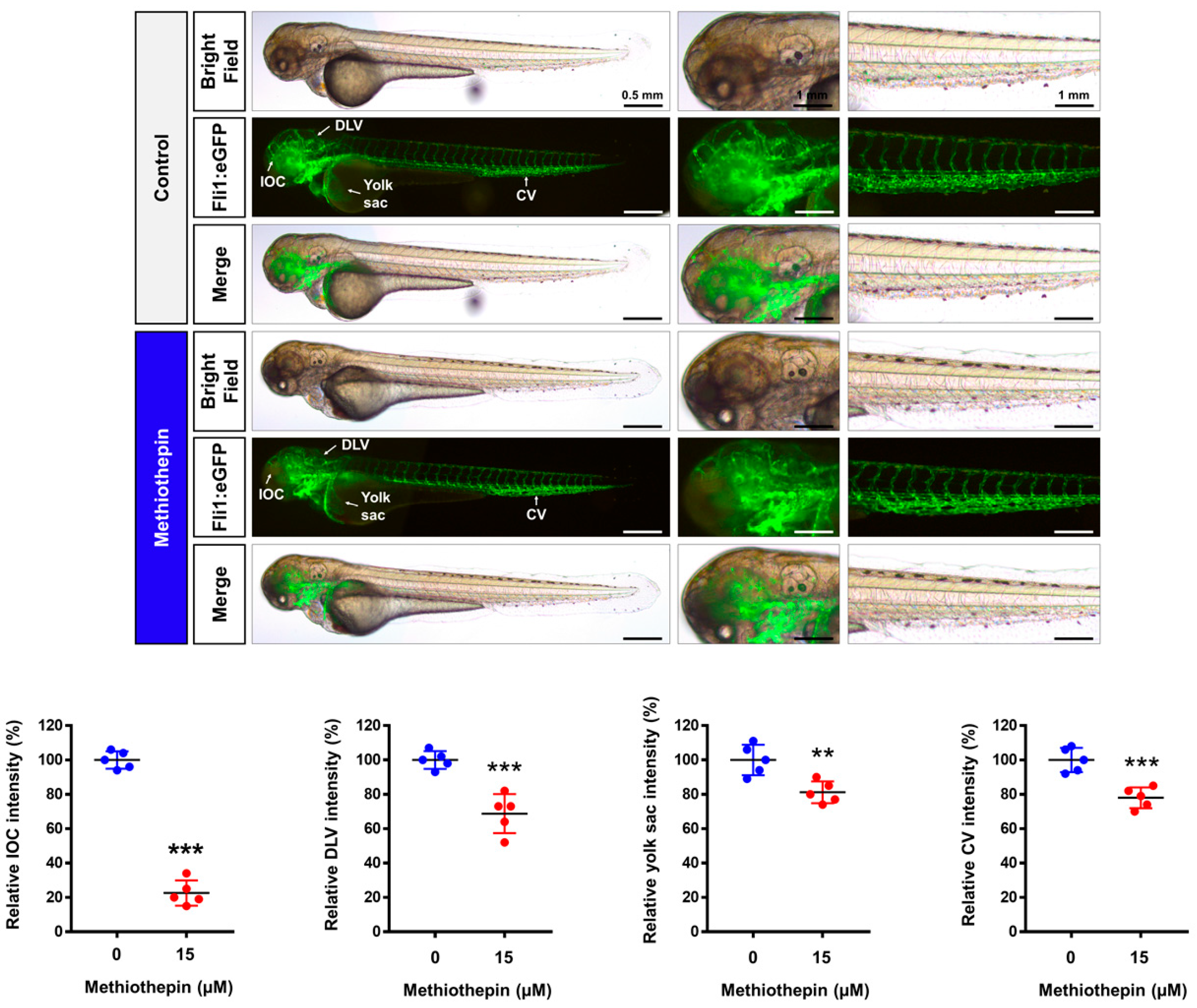 Pharmaceutics 12 00686 g007