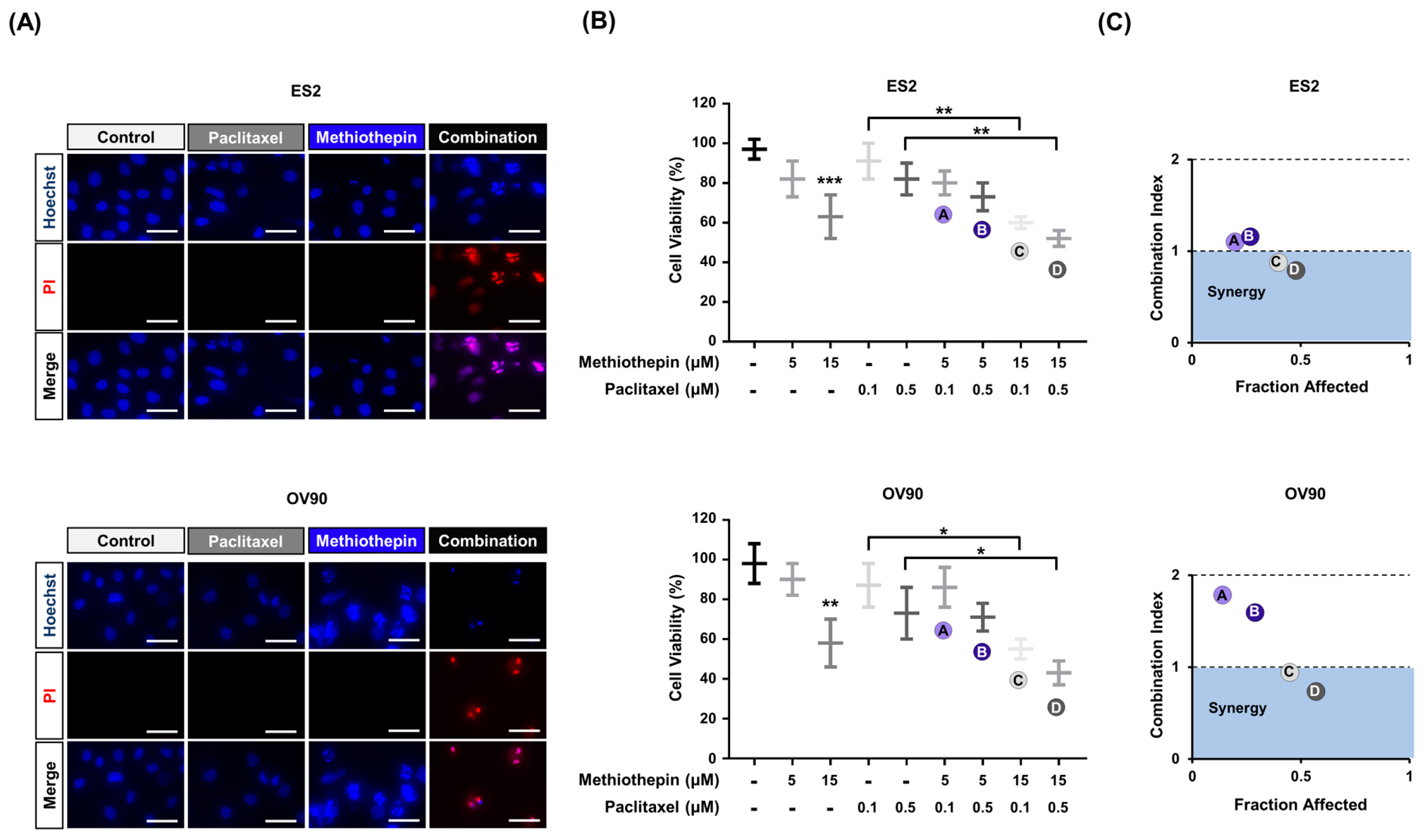 Pharmaceutics 12 00686 g008