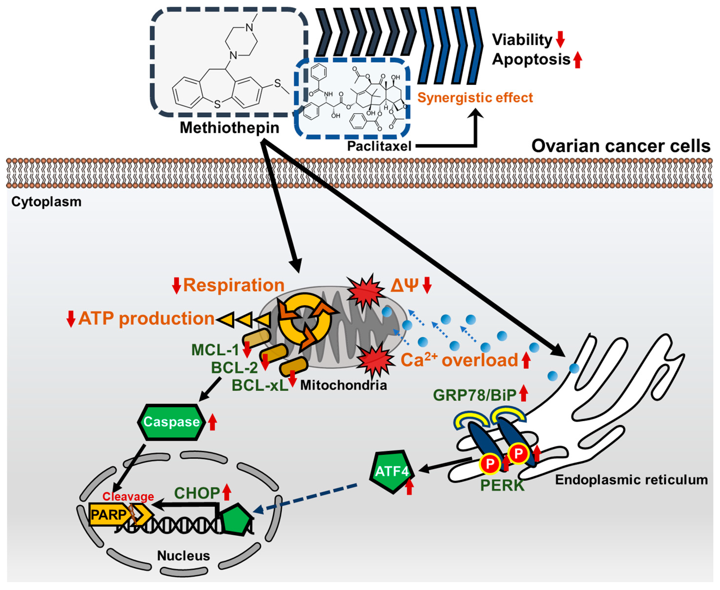 Pharmaceutics 12 00686 g009