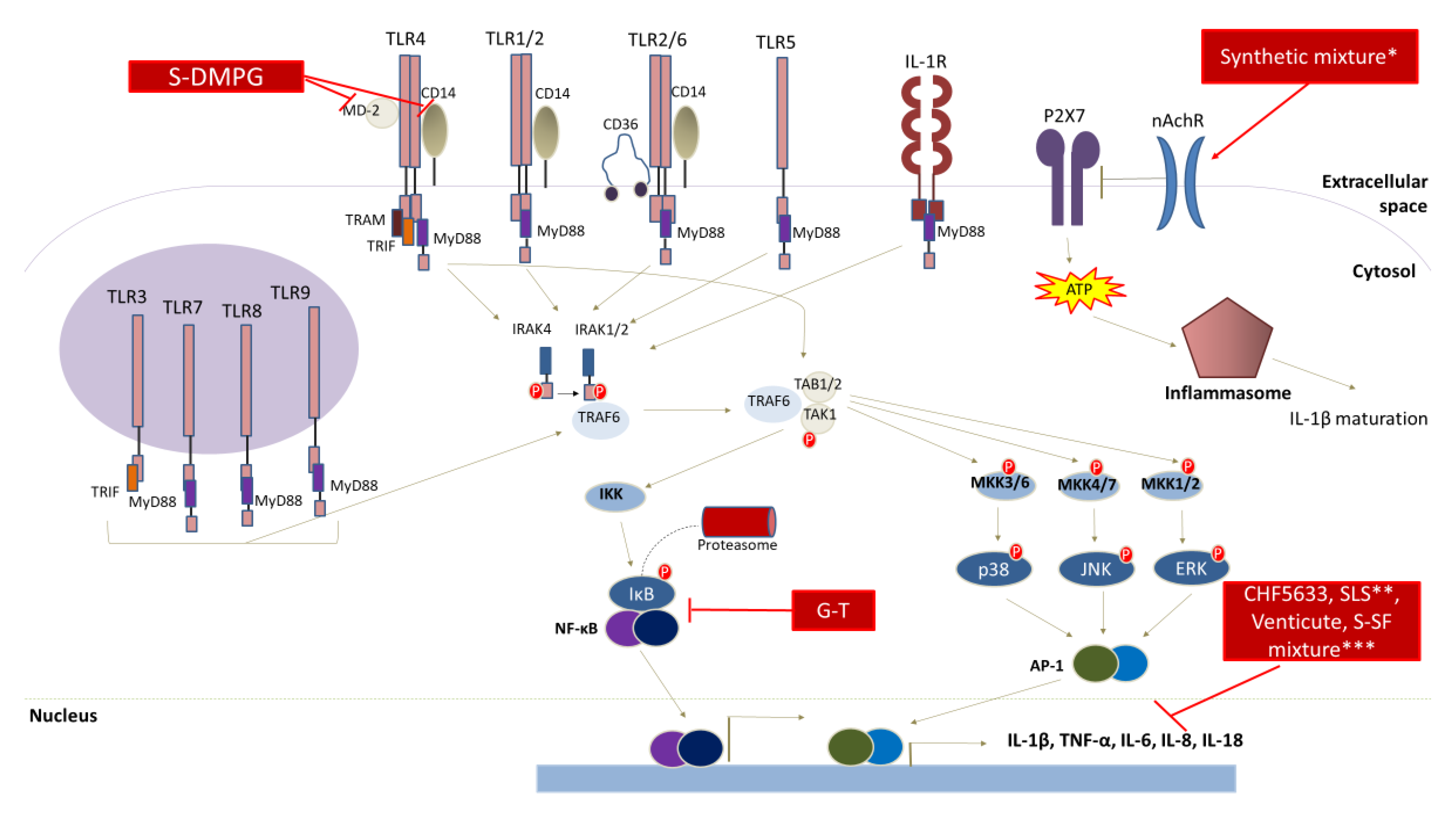 Pharmaceutics 12 00688 g002