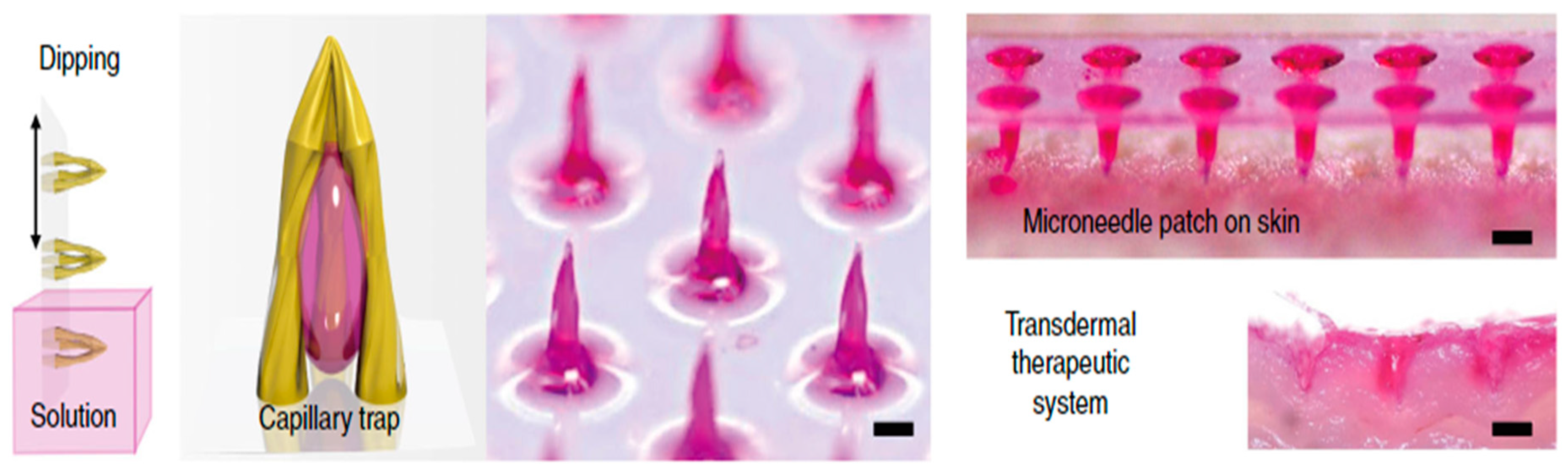 Pharmaceutics 12 00693 g005 Pharmaceutics 12 00693 g005