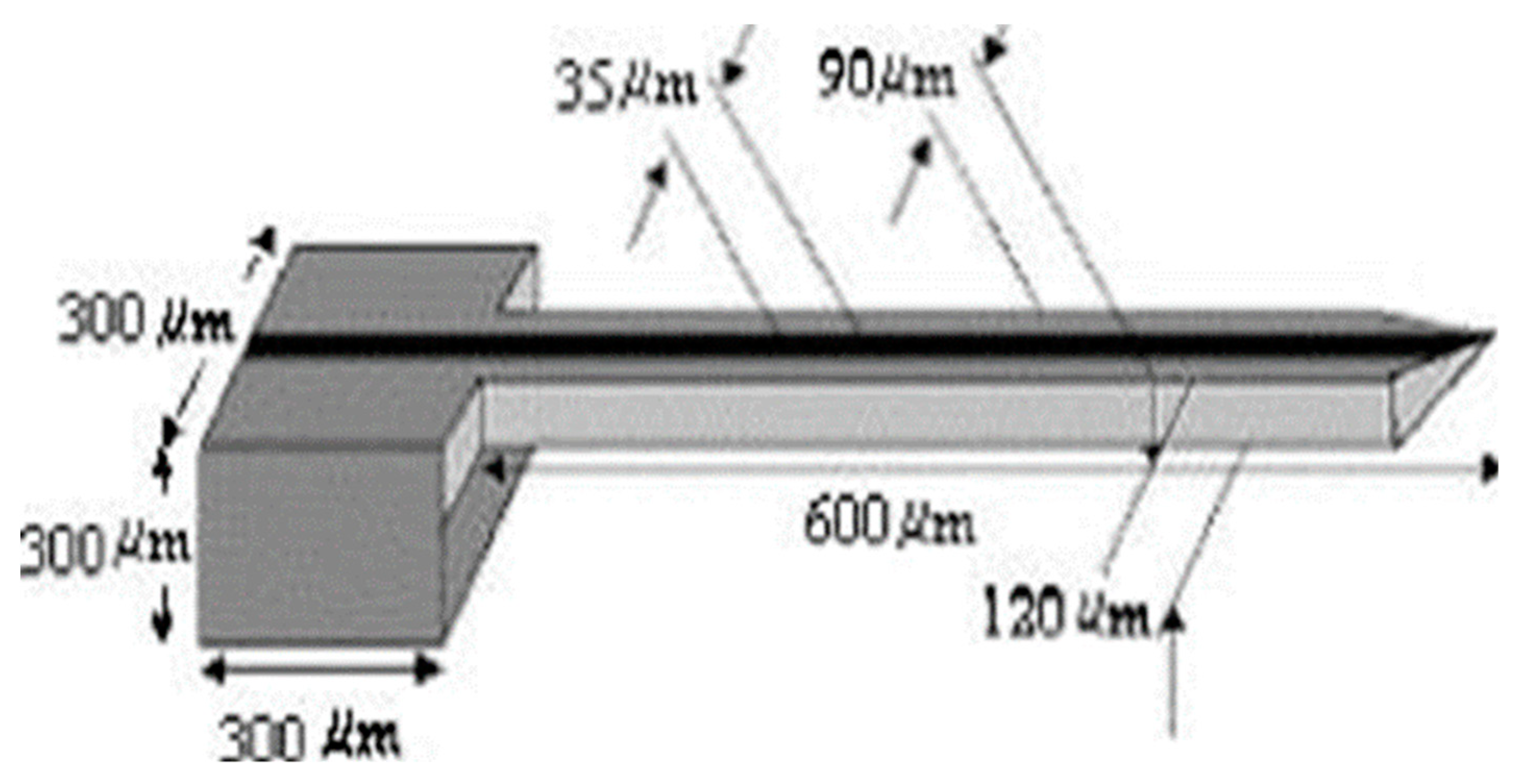 Pharmaceutics 12 00693 g008 Pharmaceutics 12 00693 g008