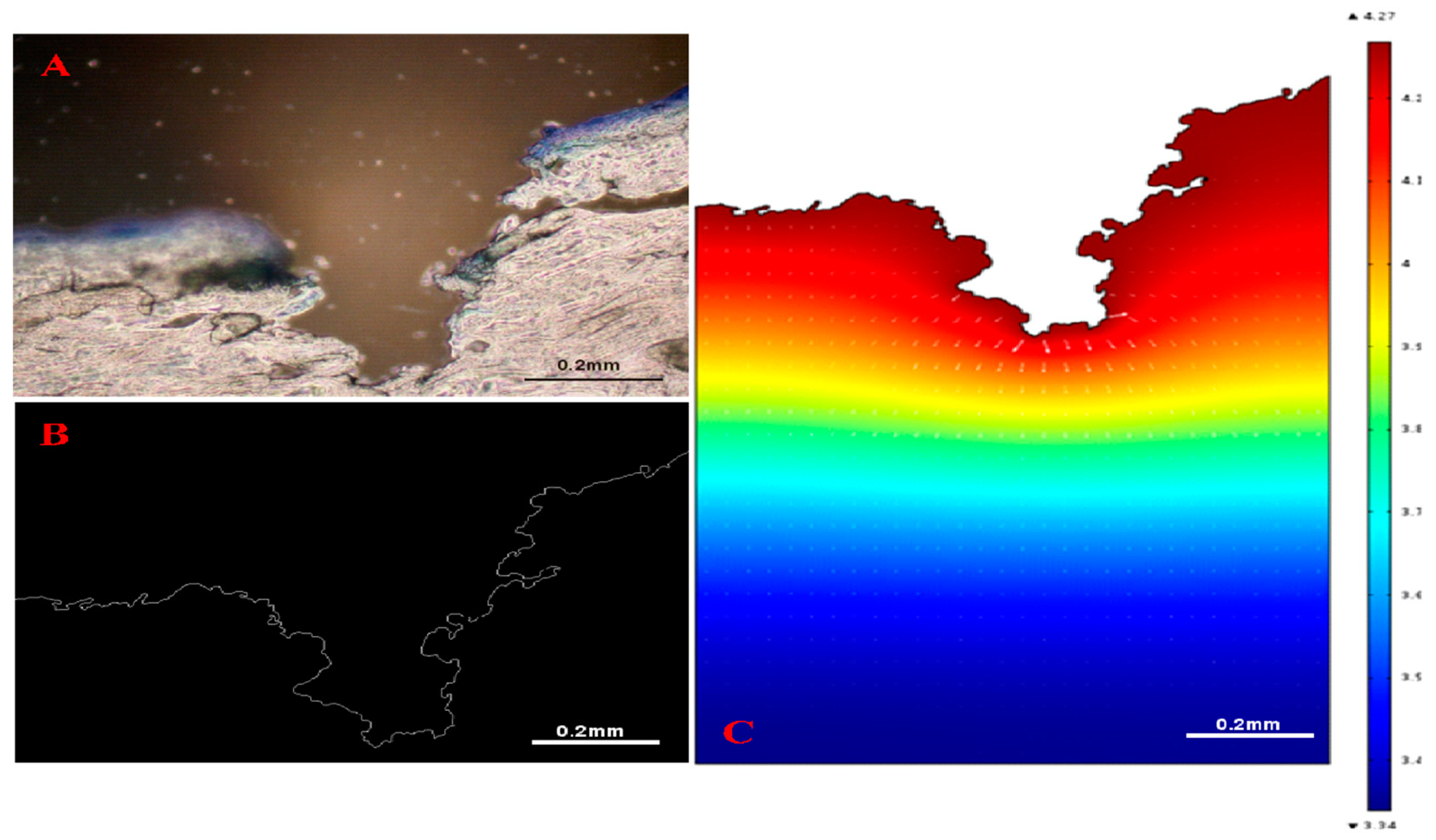 Pharmaceutics 12 00693 g010 Pharmaceutics 12 00693 g010