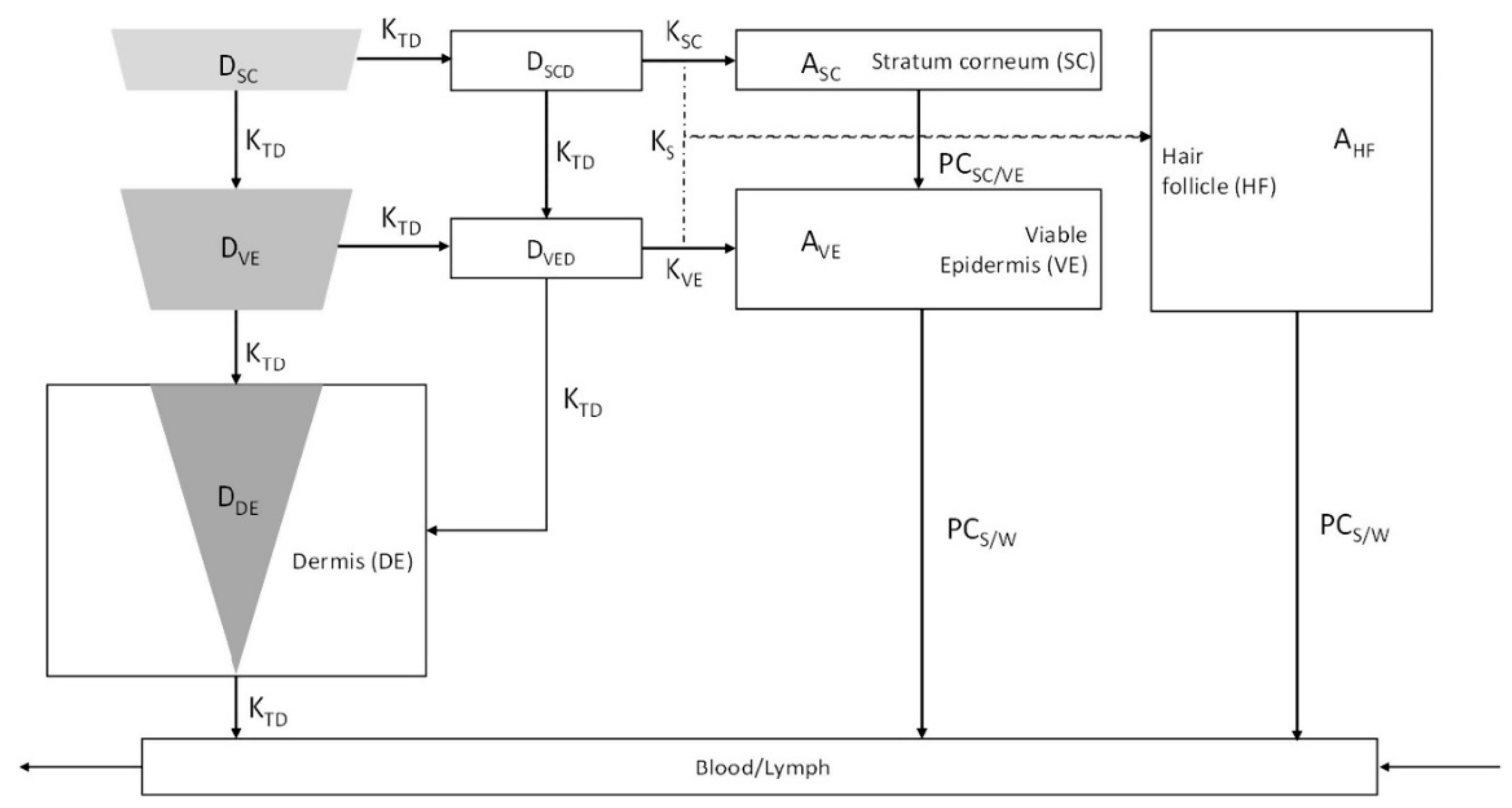 Pharmaceutics 12 00693 g014 Pharmaceutics 12 00693 g014