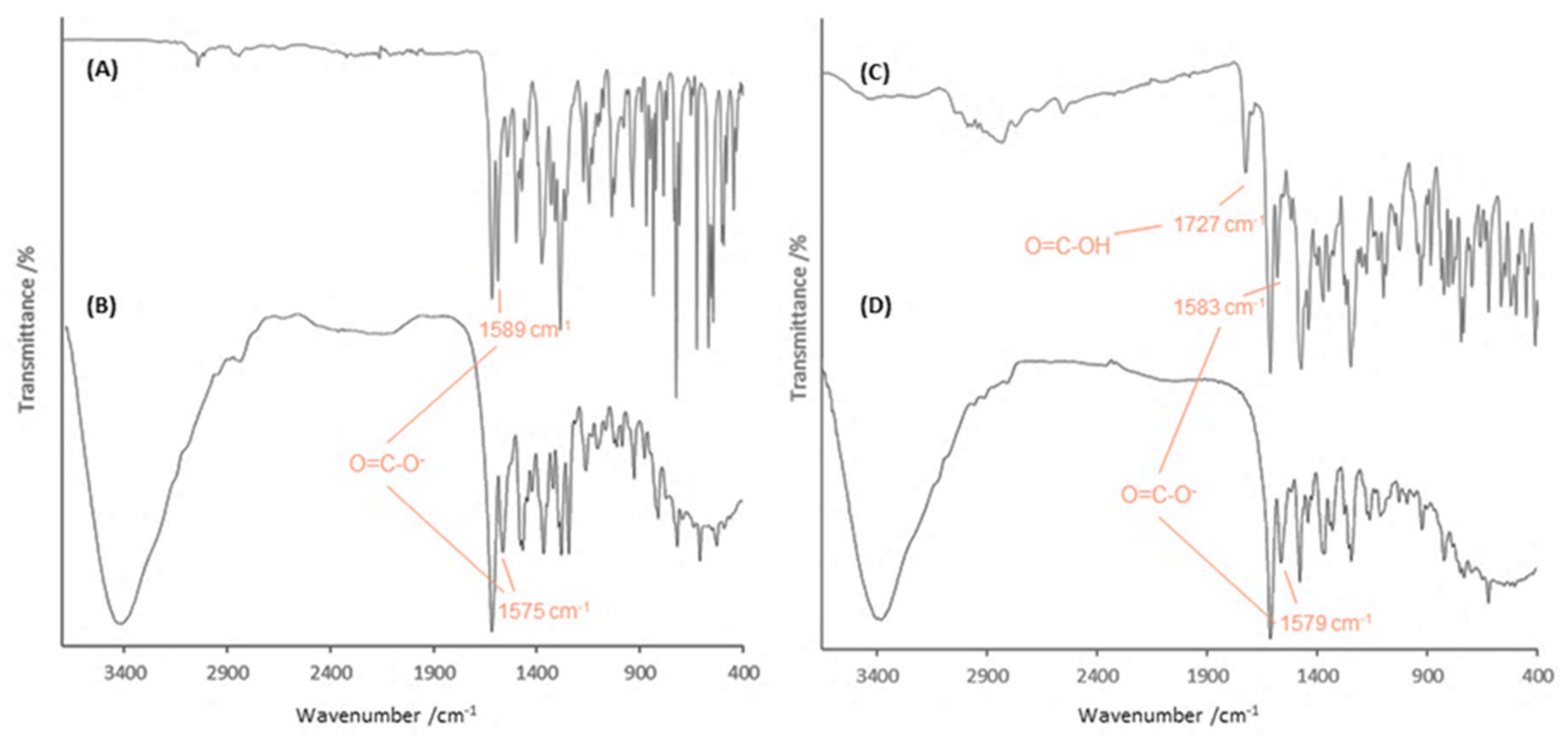 Pharmaceutics 12 00694 g002