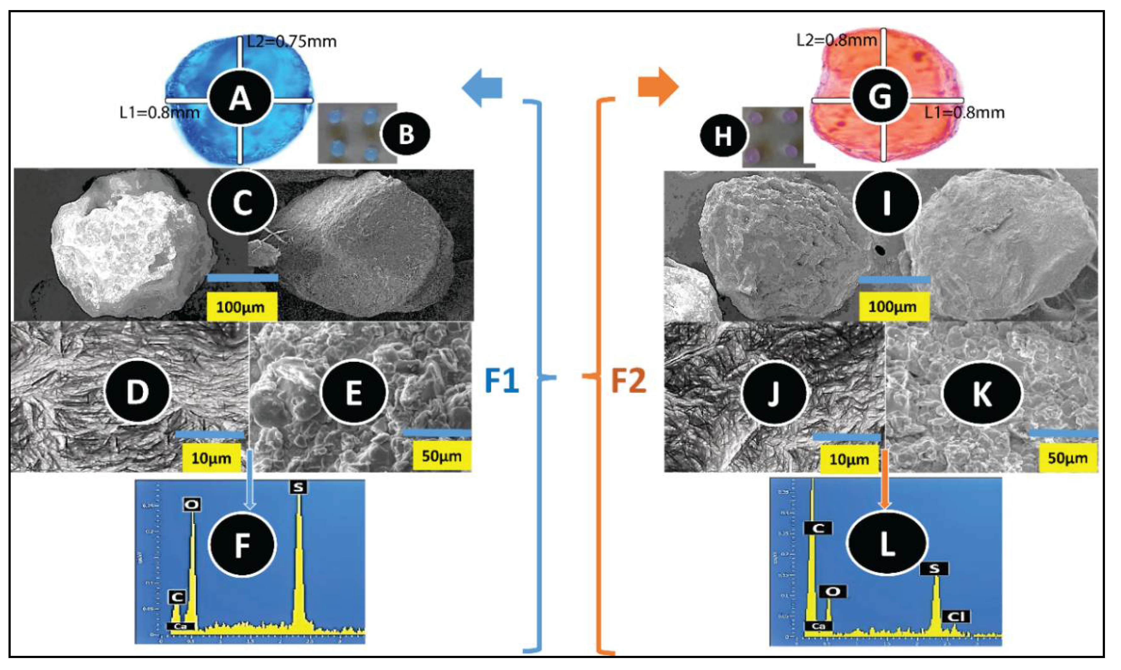 Pharmaceutics 12 00708 g001