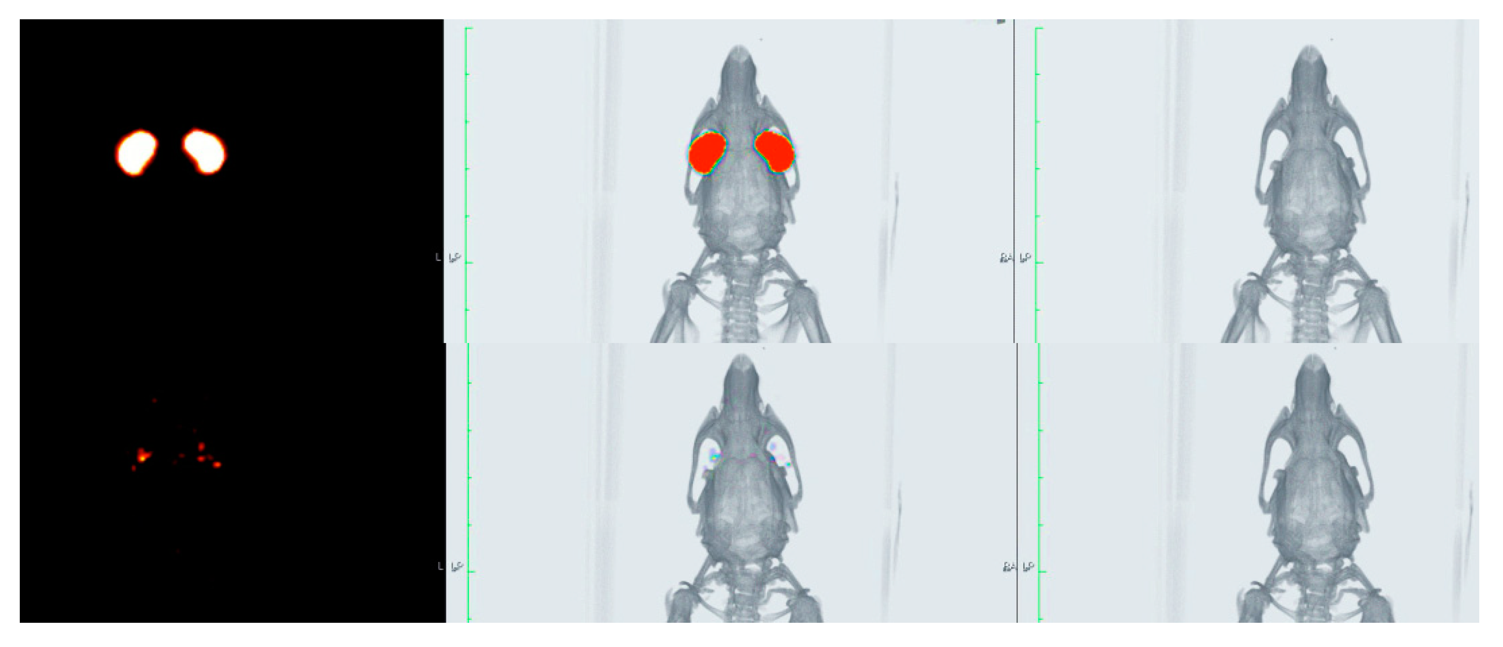 Pharmaceutics 12 00717 g007