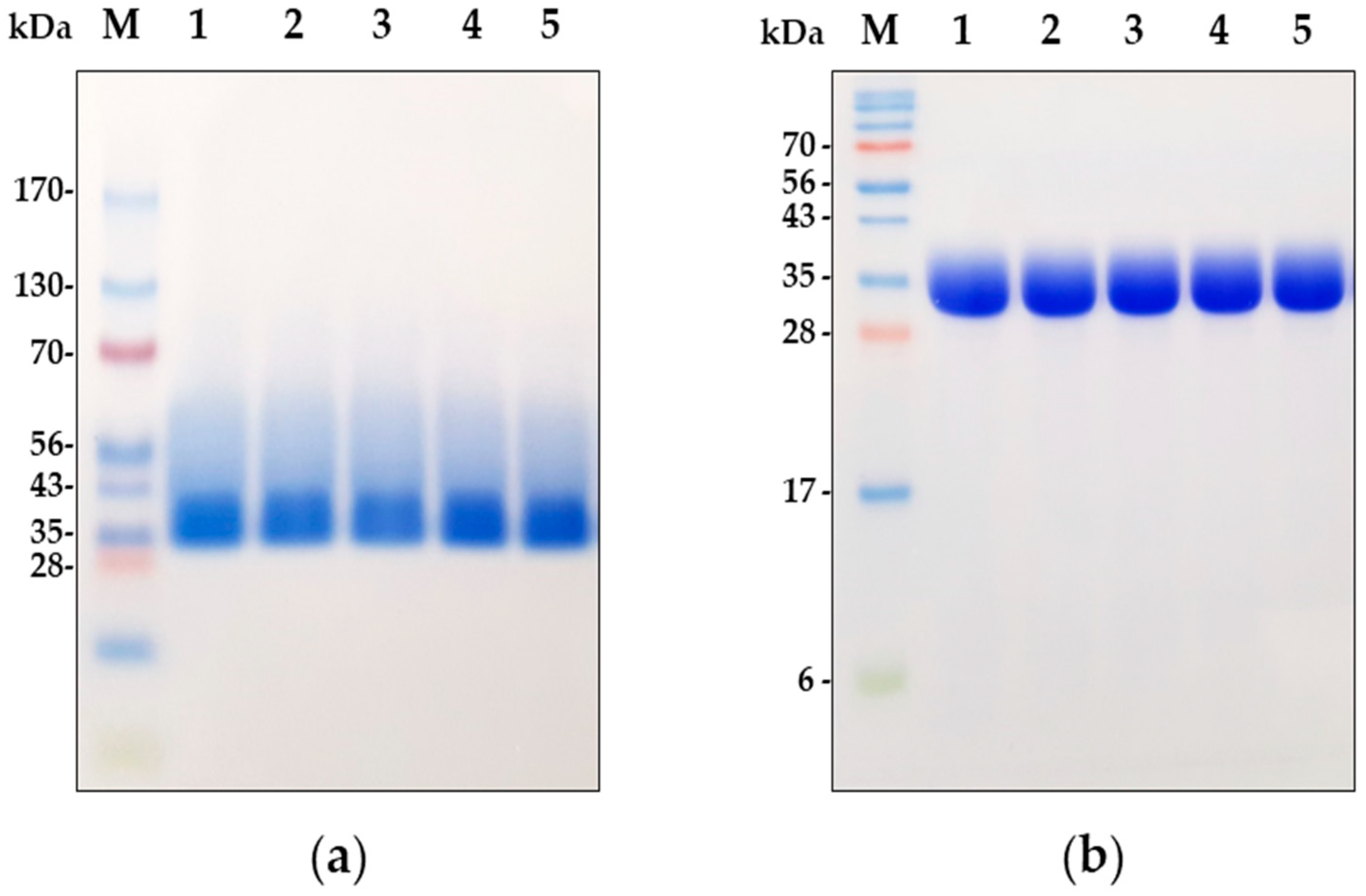 Pharmaceutics 12 00721 g002 Pharmaceutics 12 00721 g002