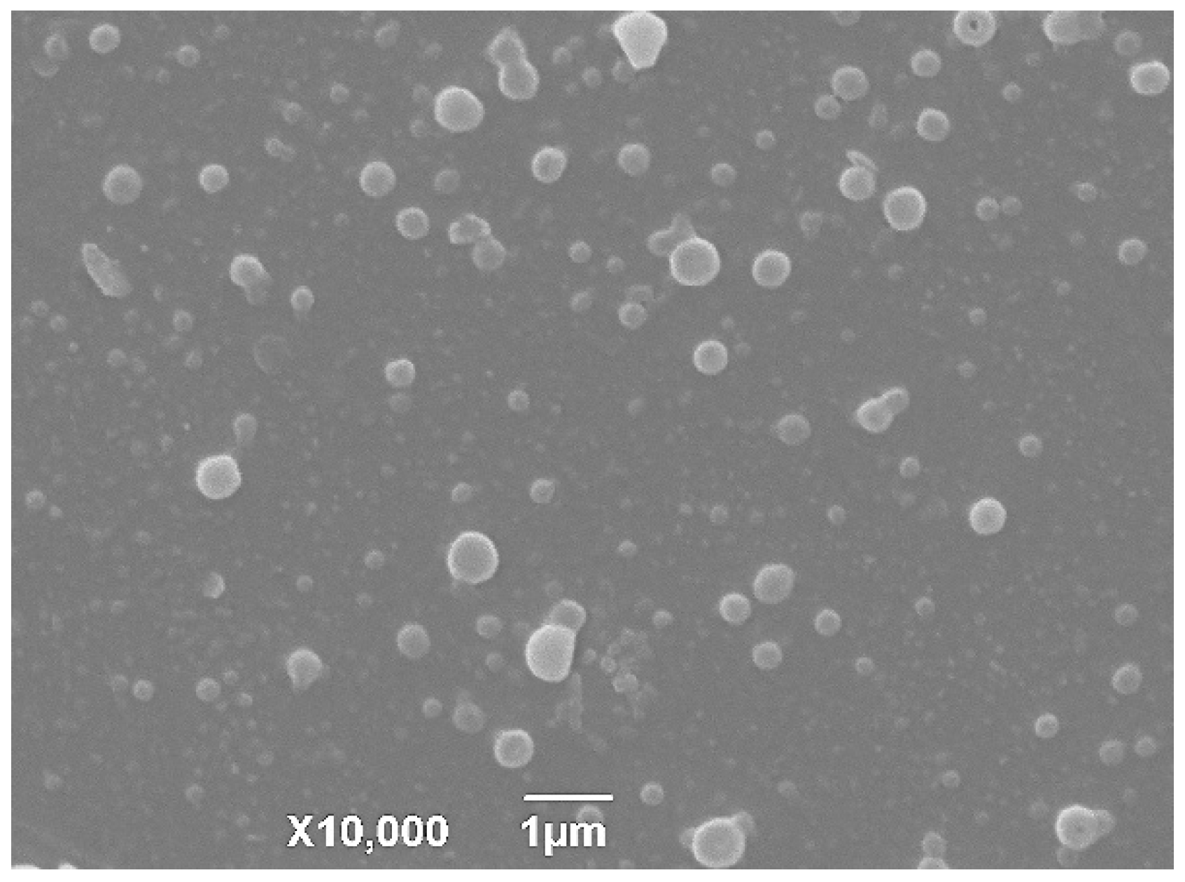 Pharmaceutics 12 00731 g002