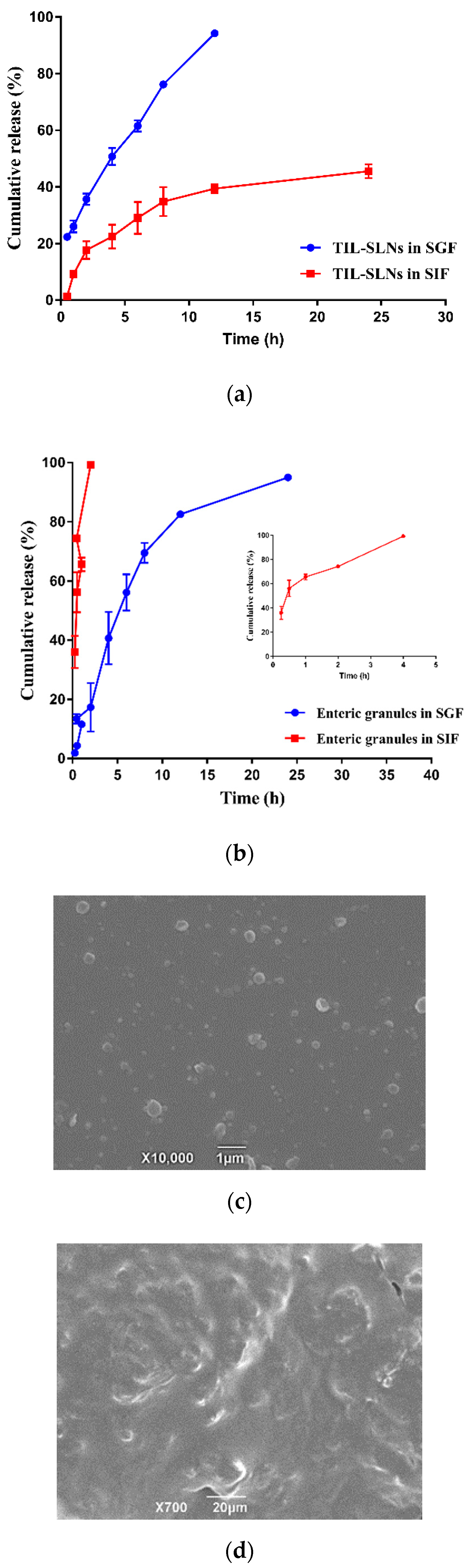 Pharmaceutics 12 00731 g005a