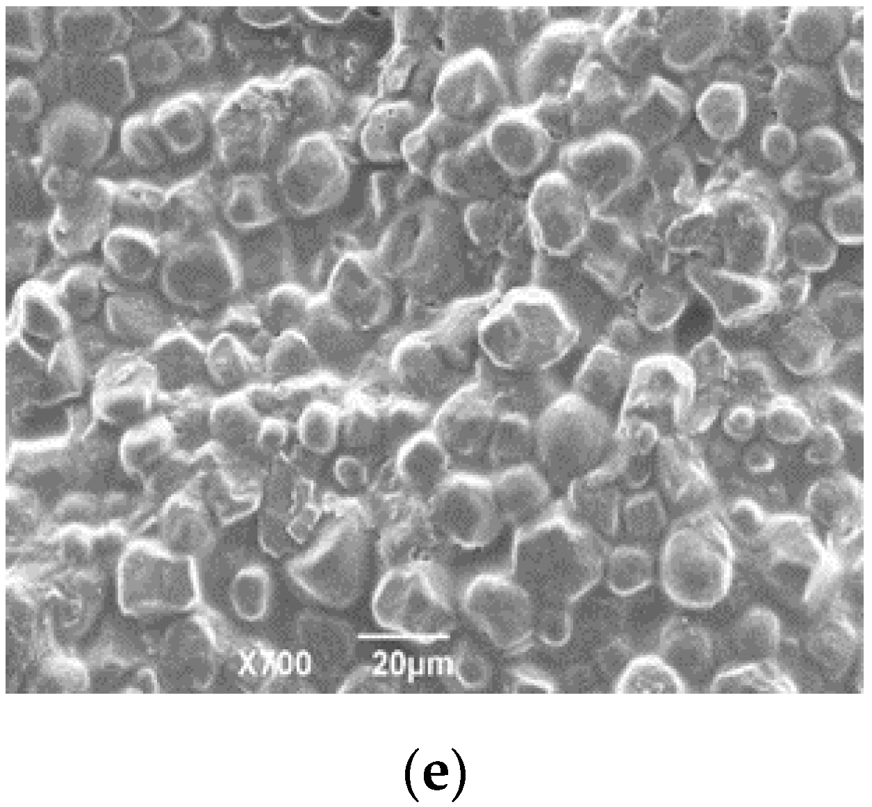 Pharmaceutics 12 00731 g005b