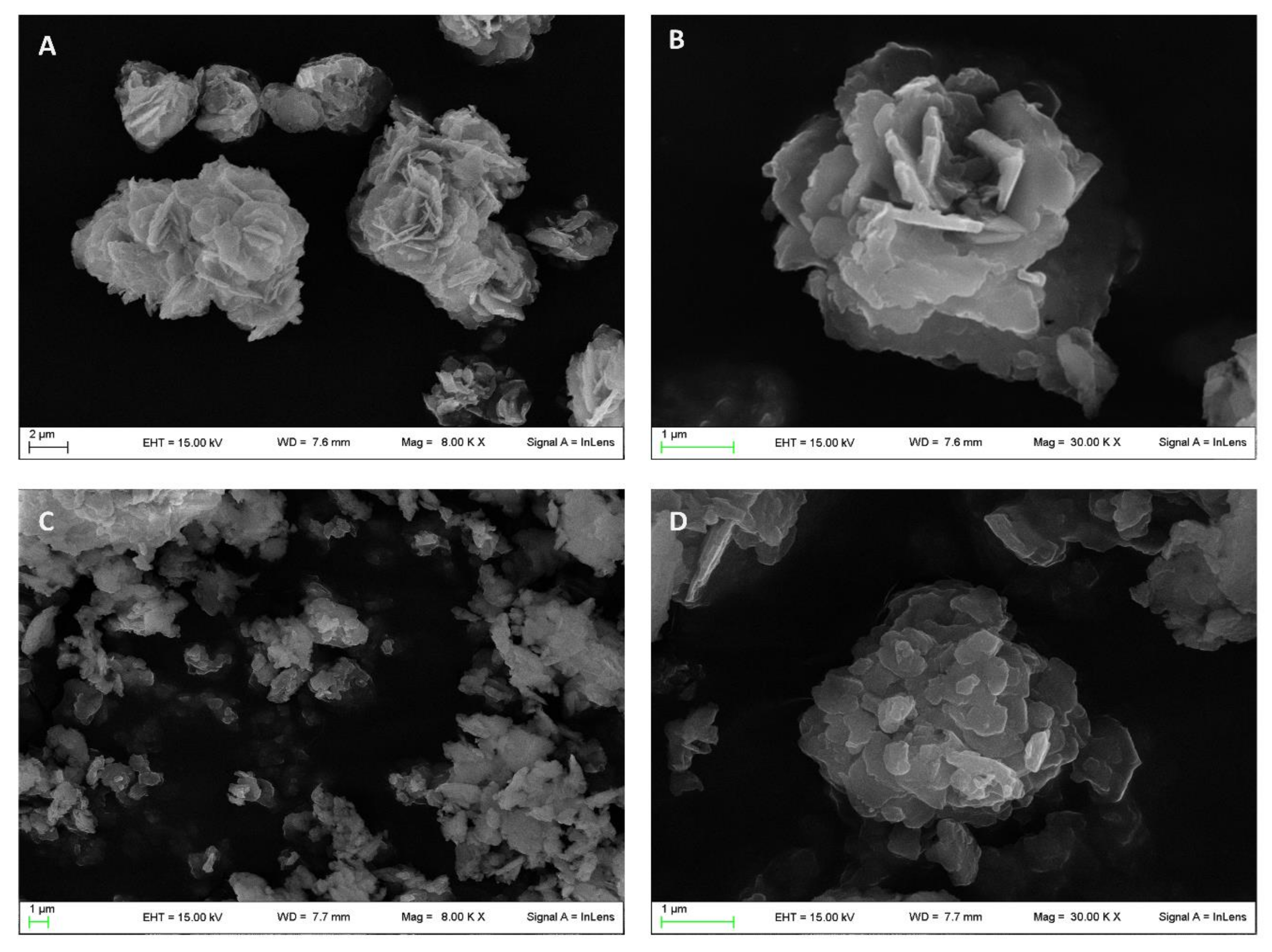 Pharmaceutics 12 00733 g002 Pharmaceutics 12 00733 g002