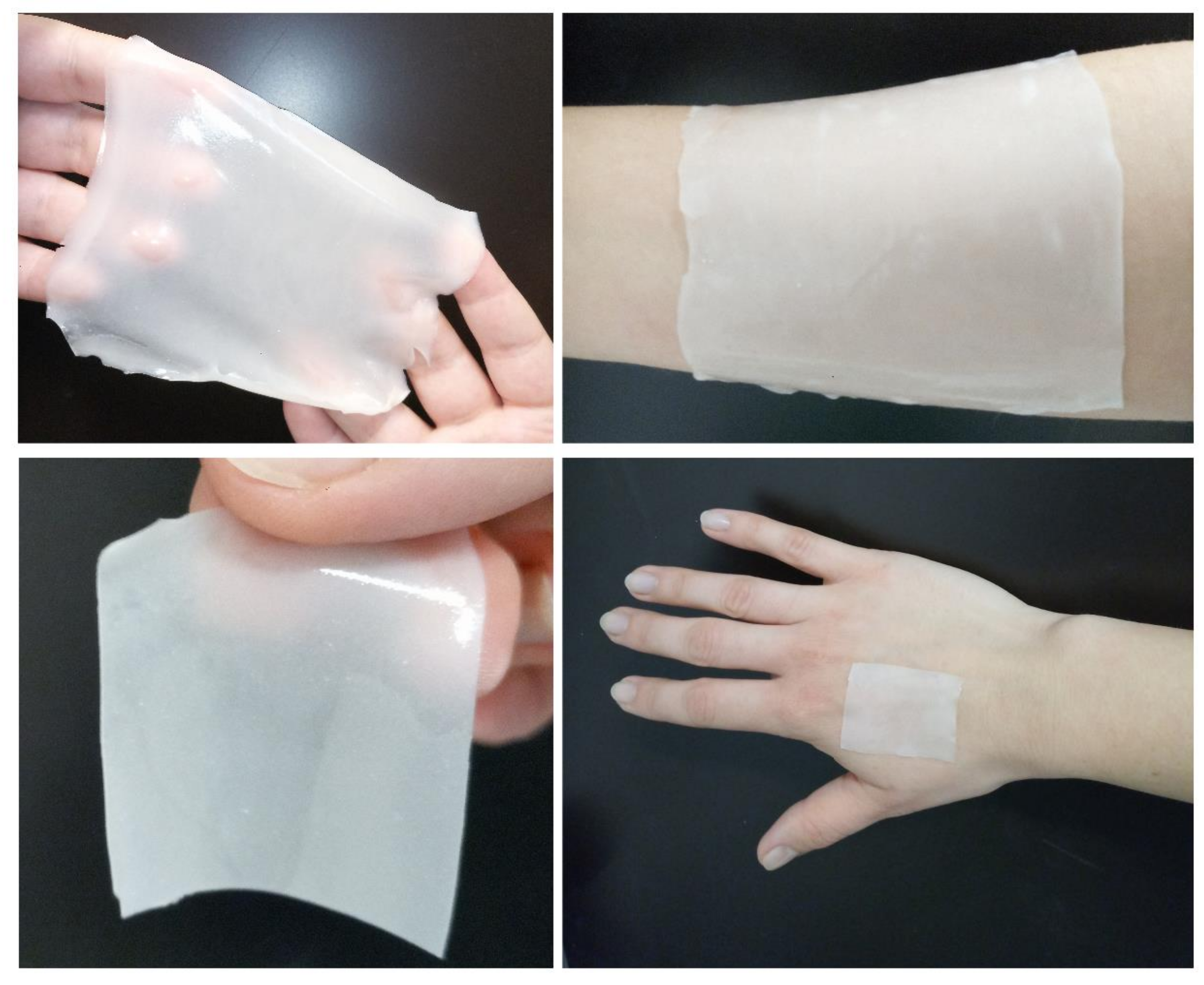 Pharmaceutics 12 00733 g005 Pharmaceutics 12 00733 g005