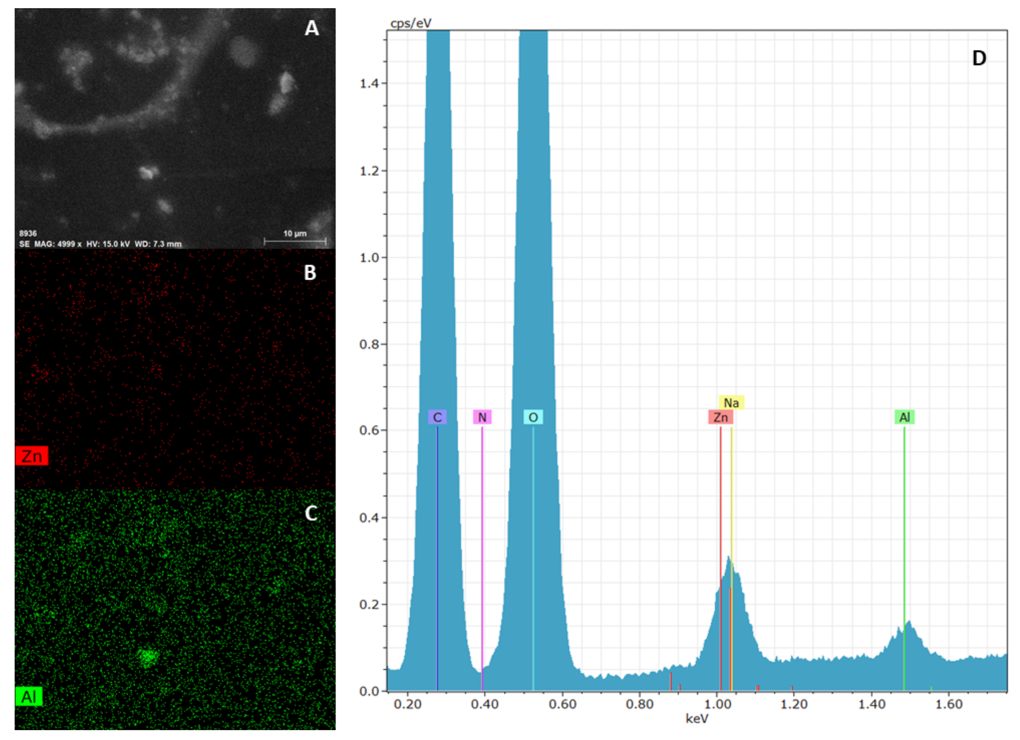Pharmaceutics 12 00733 g006 Pharmaceutics 12 00733 g006