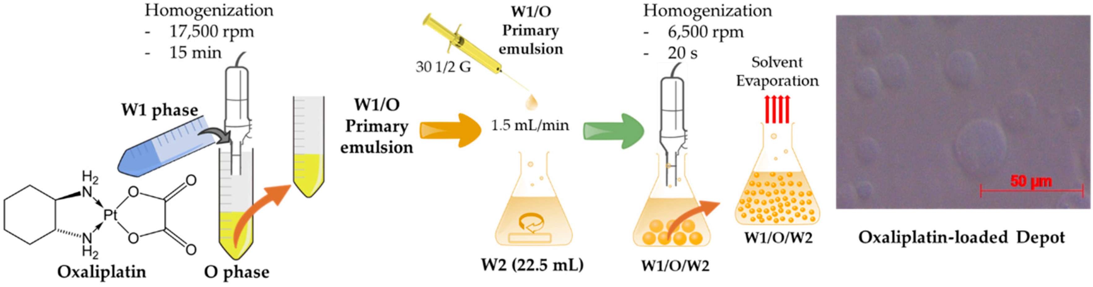 Pharmaceutics 12 00736 g001