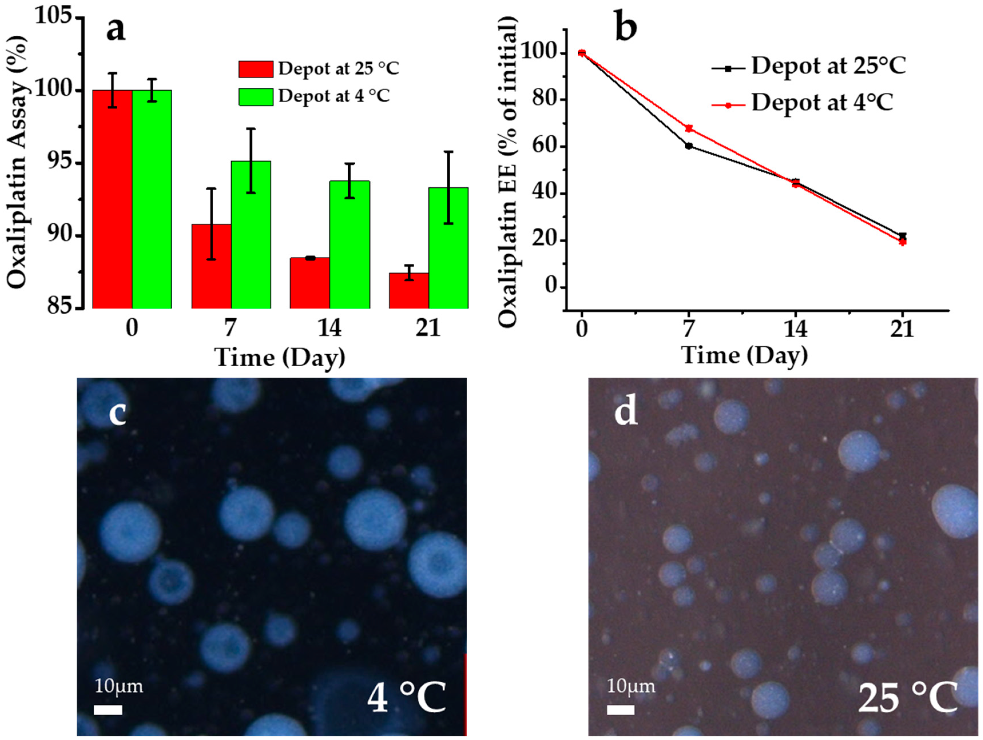 Pharmaceutics 12 00736 g007