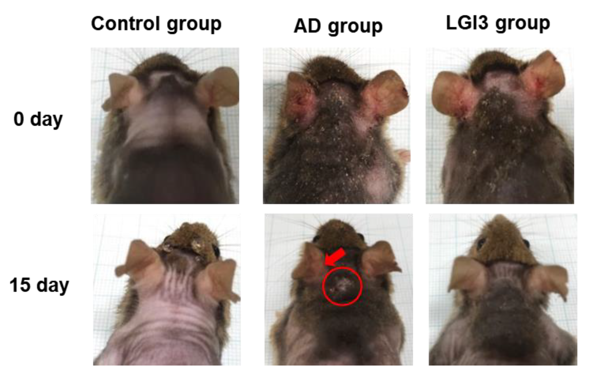 Pharmaceutics 12 00750 g002