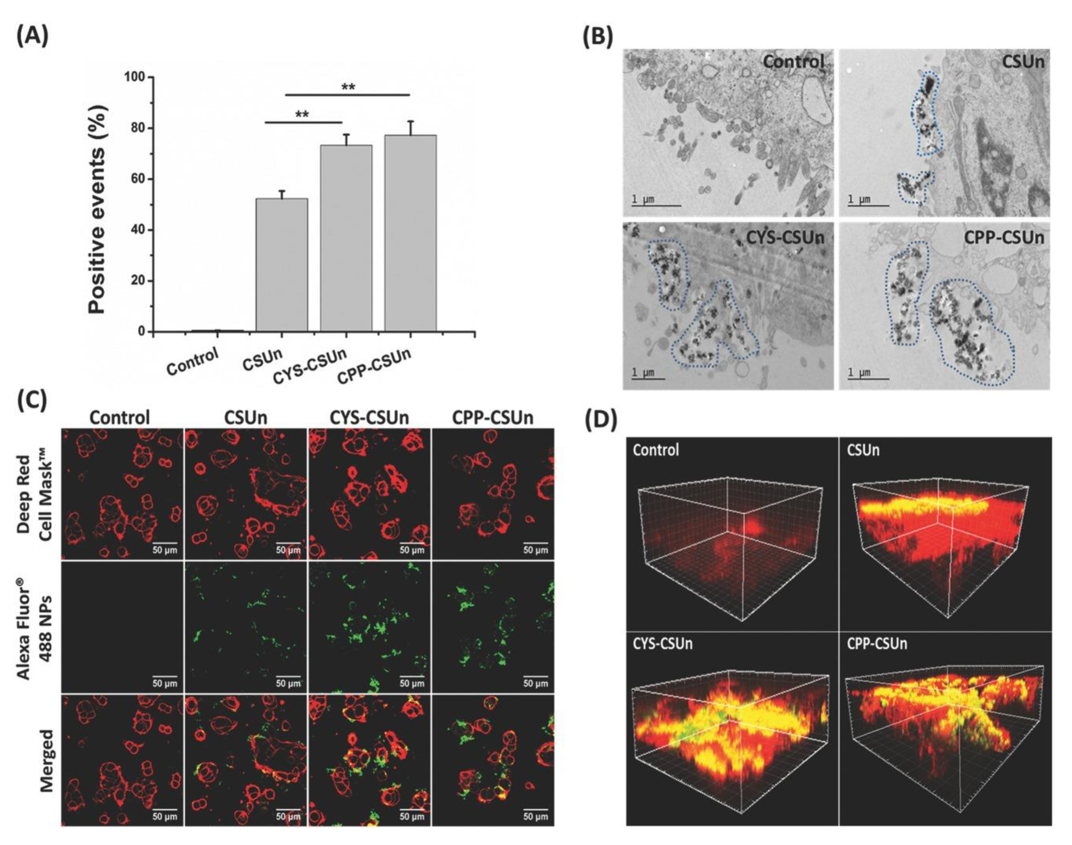 Pharmaceutics 12 00751 g007