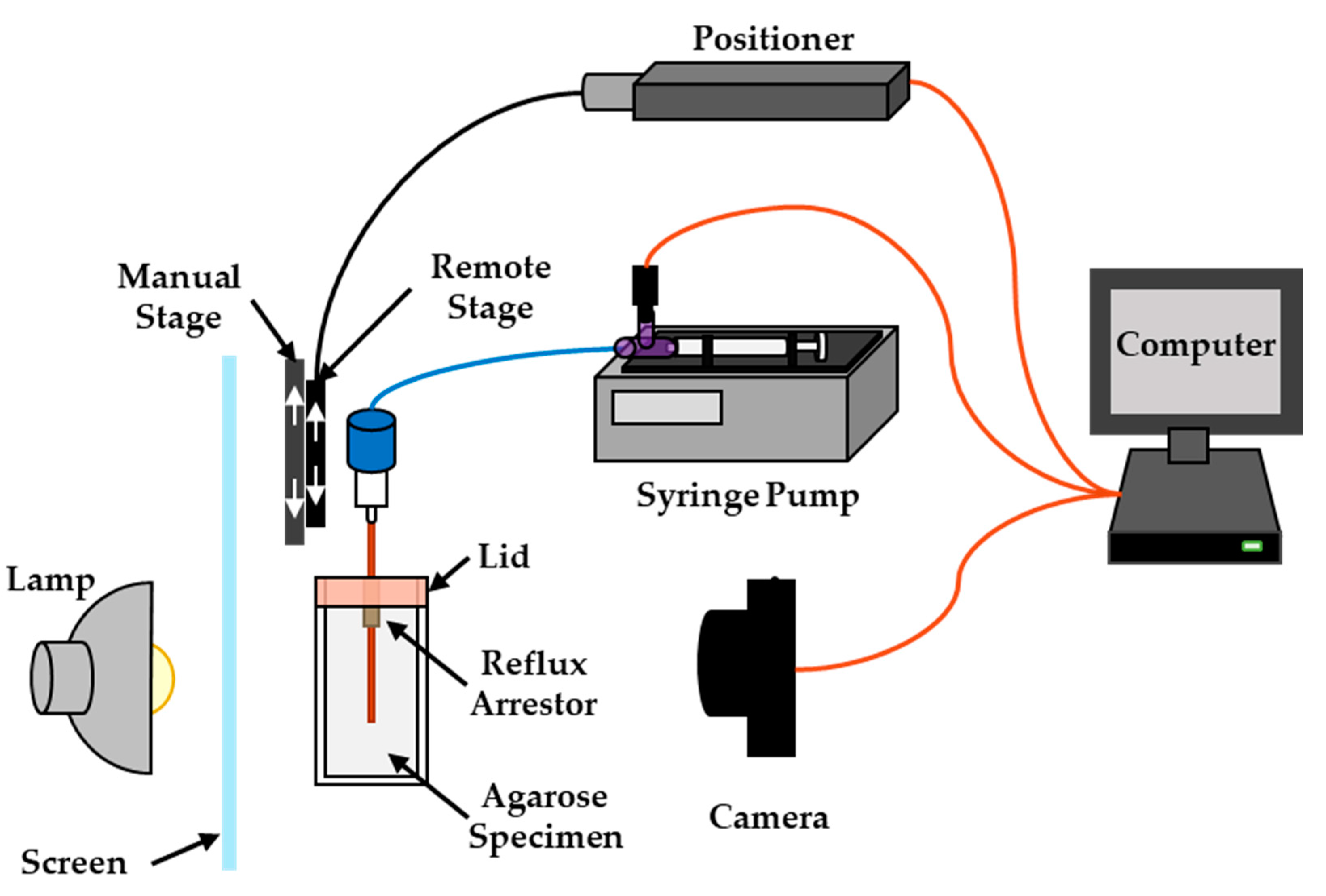 Pharmaceutics 12 00753 g001 Pharmaceutics 12 00753 g001