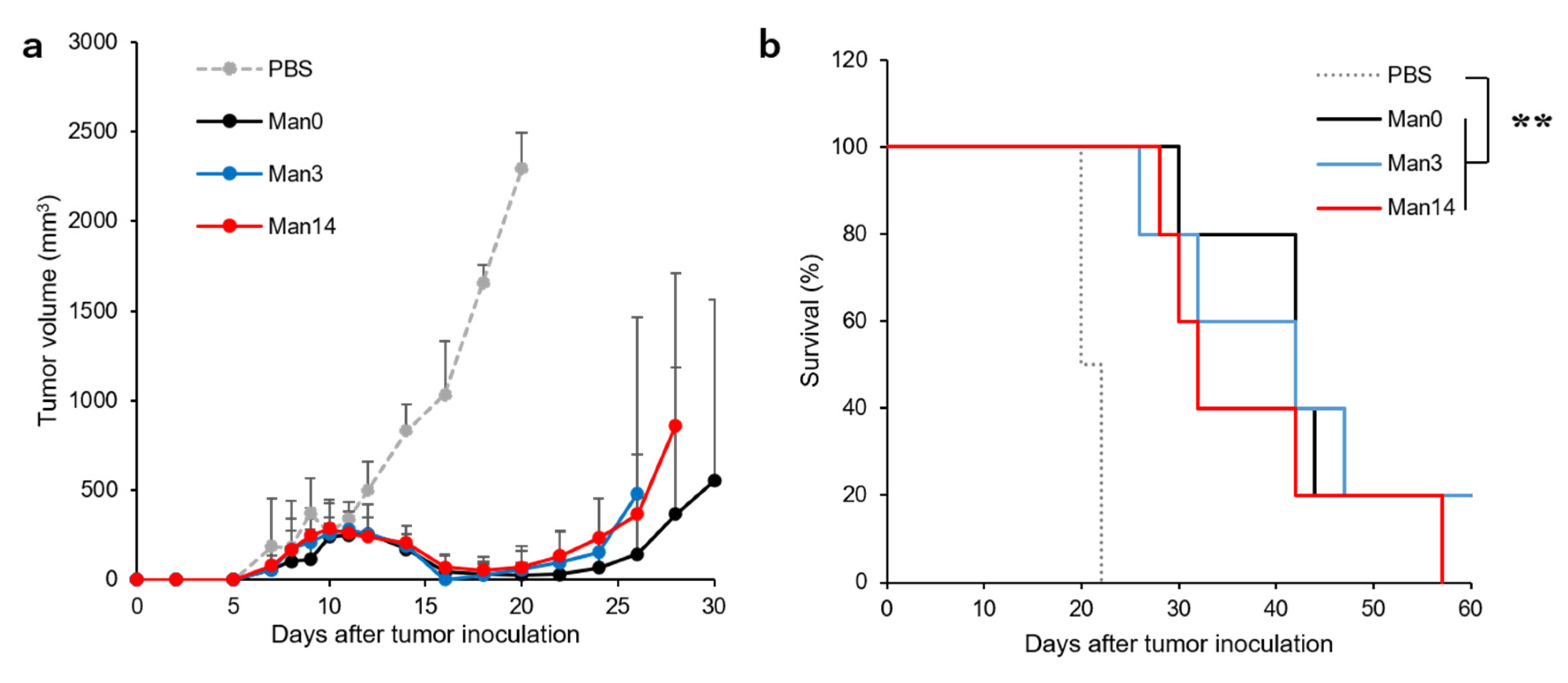 Pharmaceutics 12 00754 g006
