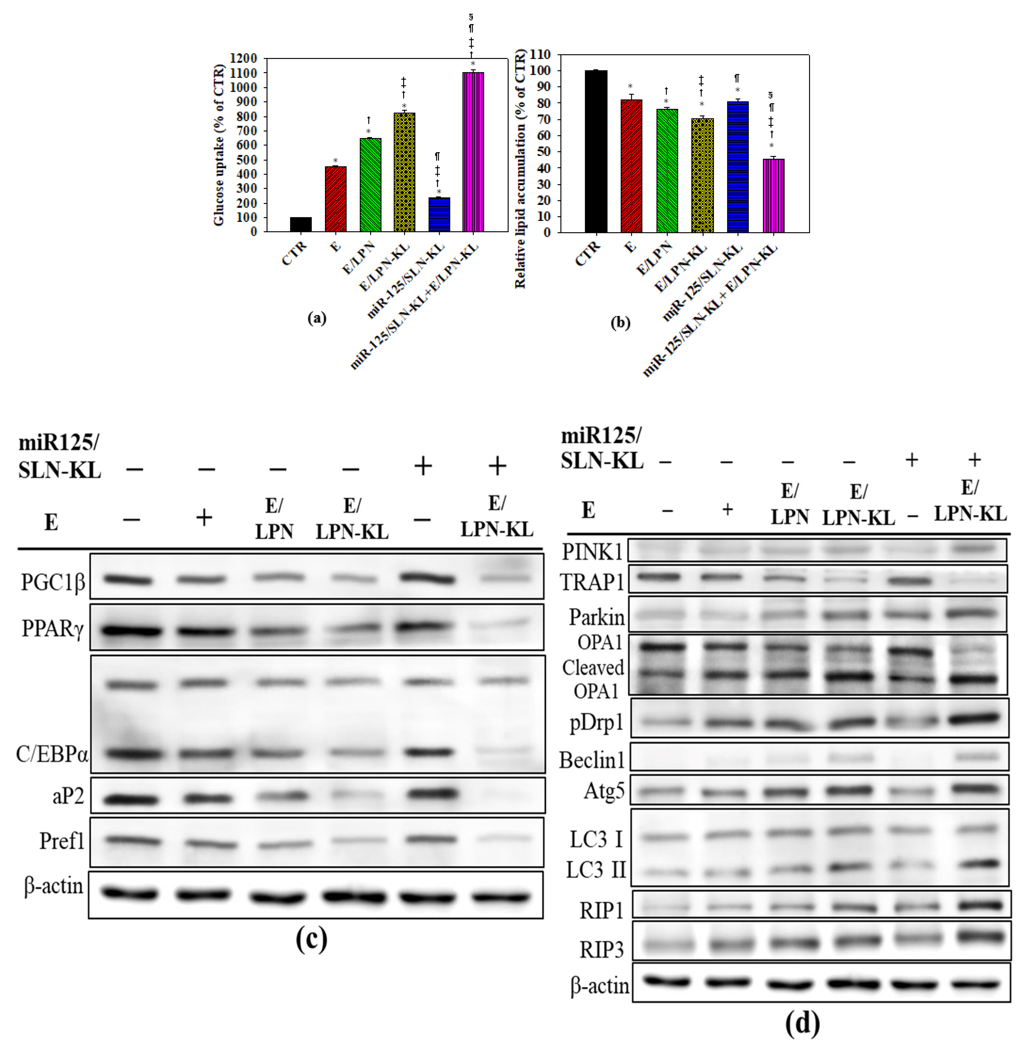 Pharmaceutics 12 00756 g004