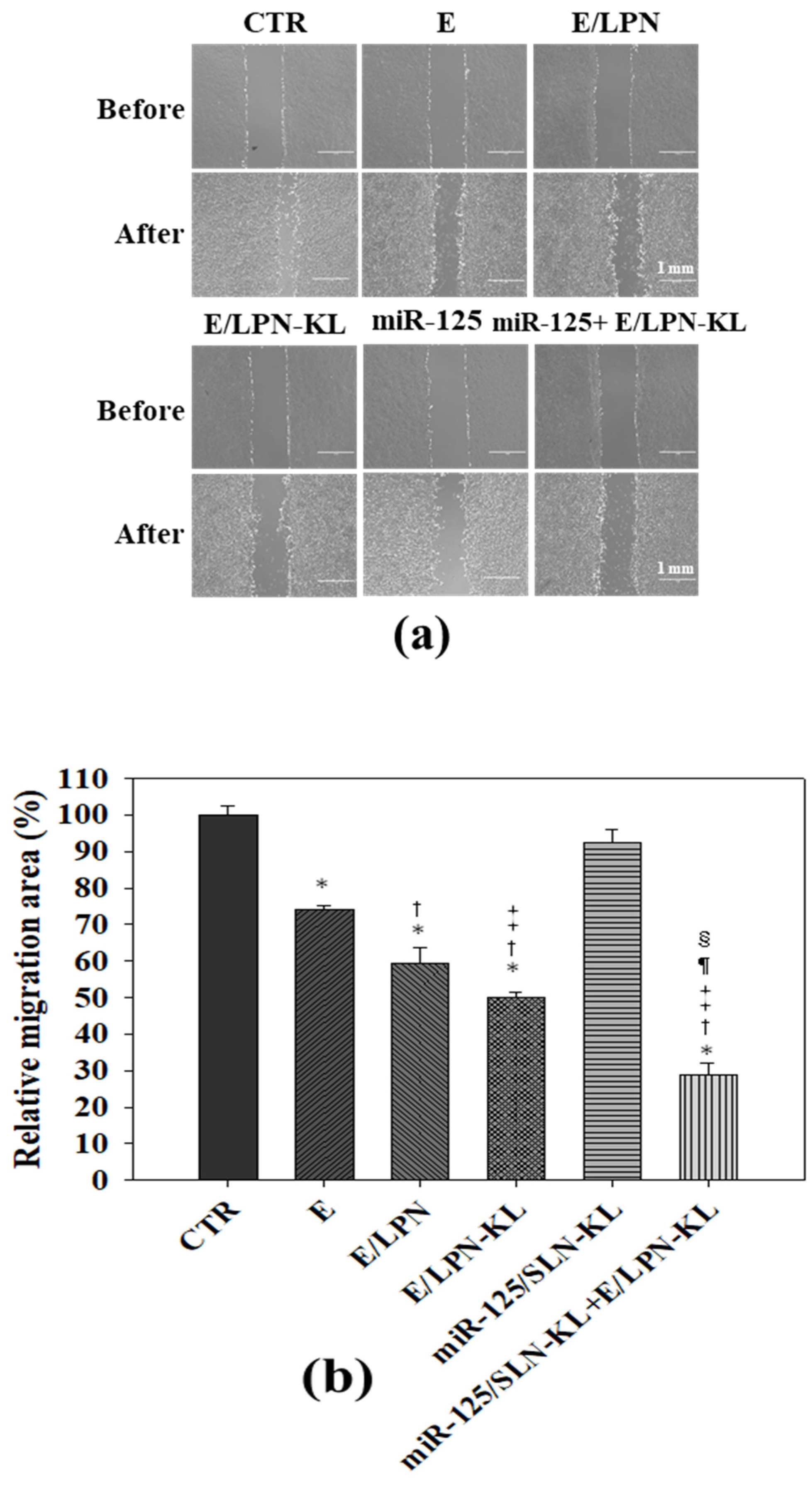 Pharmaceutics 12 00756 g005a
