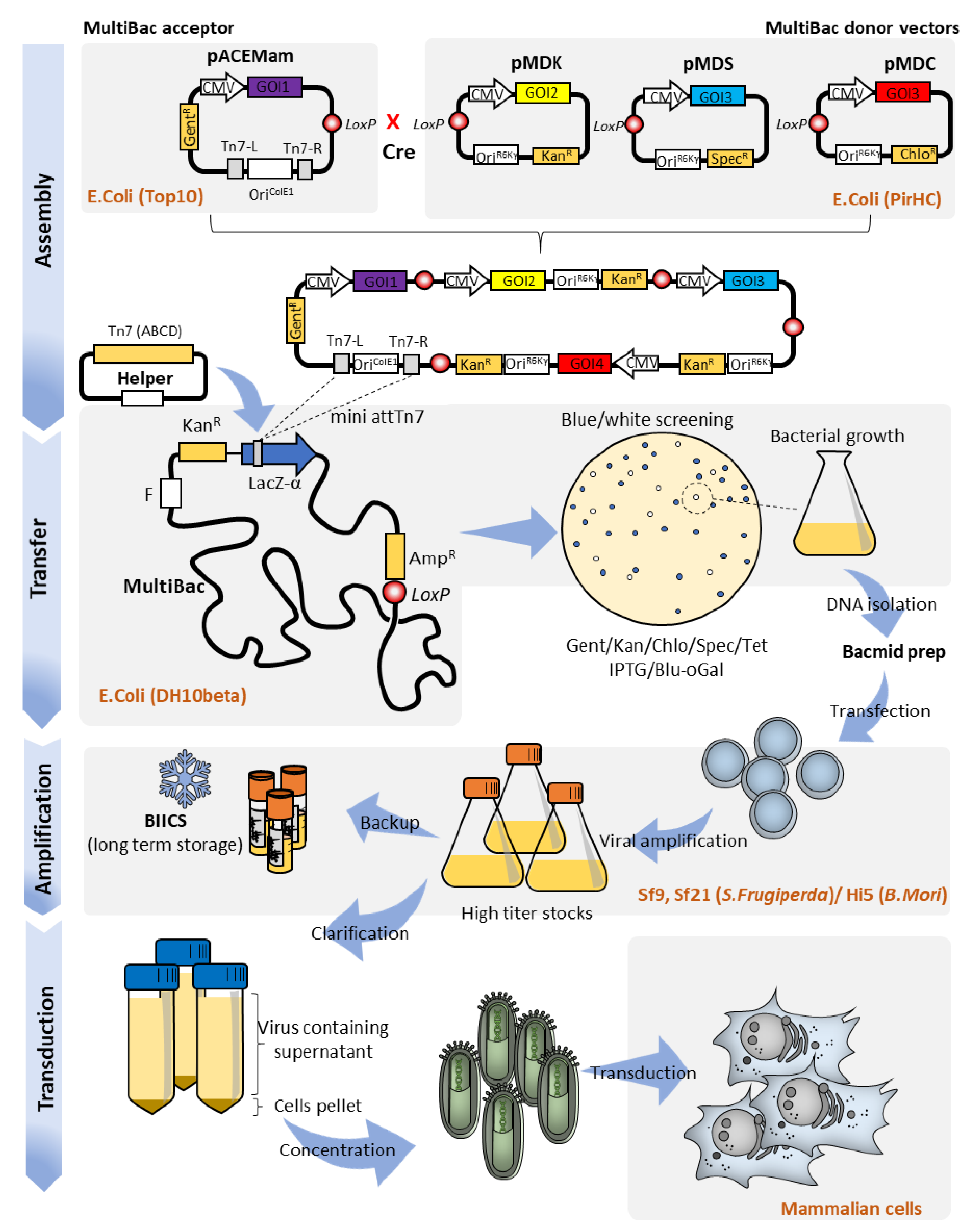 Pharmaceutics 12 00759 g002