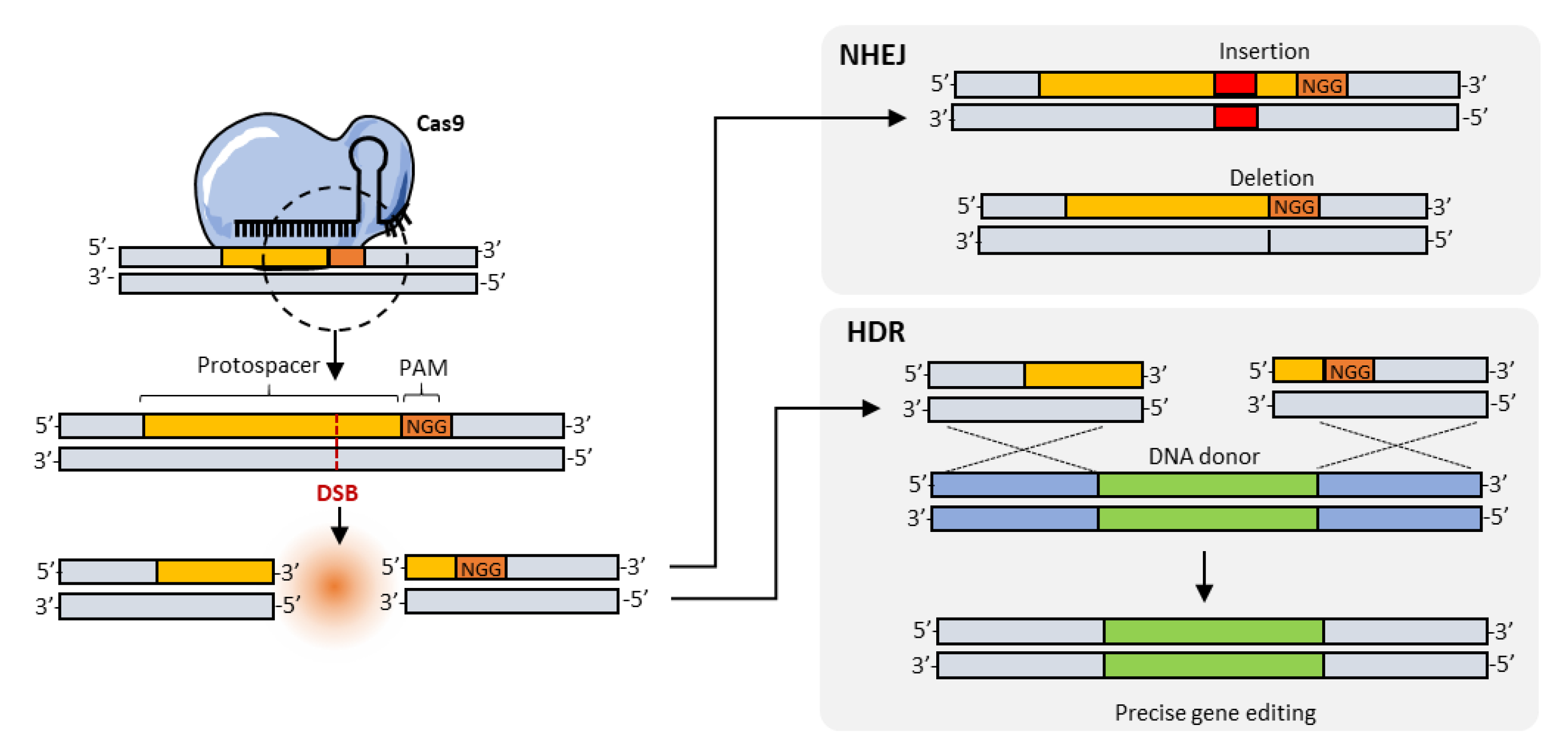 Pharmaceutics 12 00759 g003