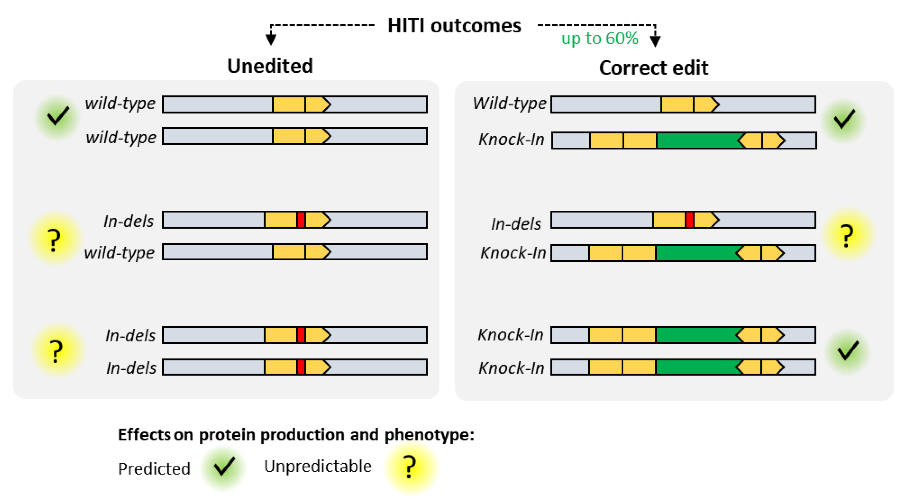 Pharmaceutics 12 00759 g007