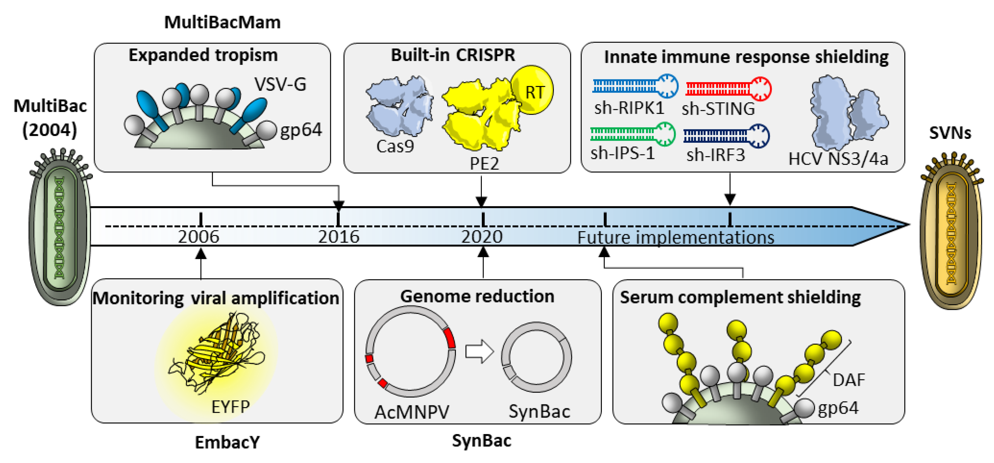 Pharmaceutics 12 00759 g008