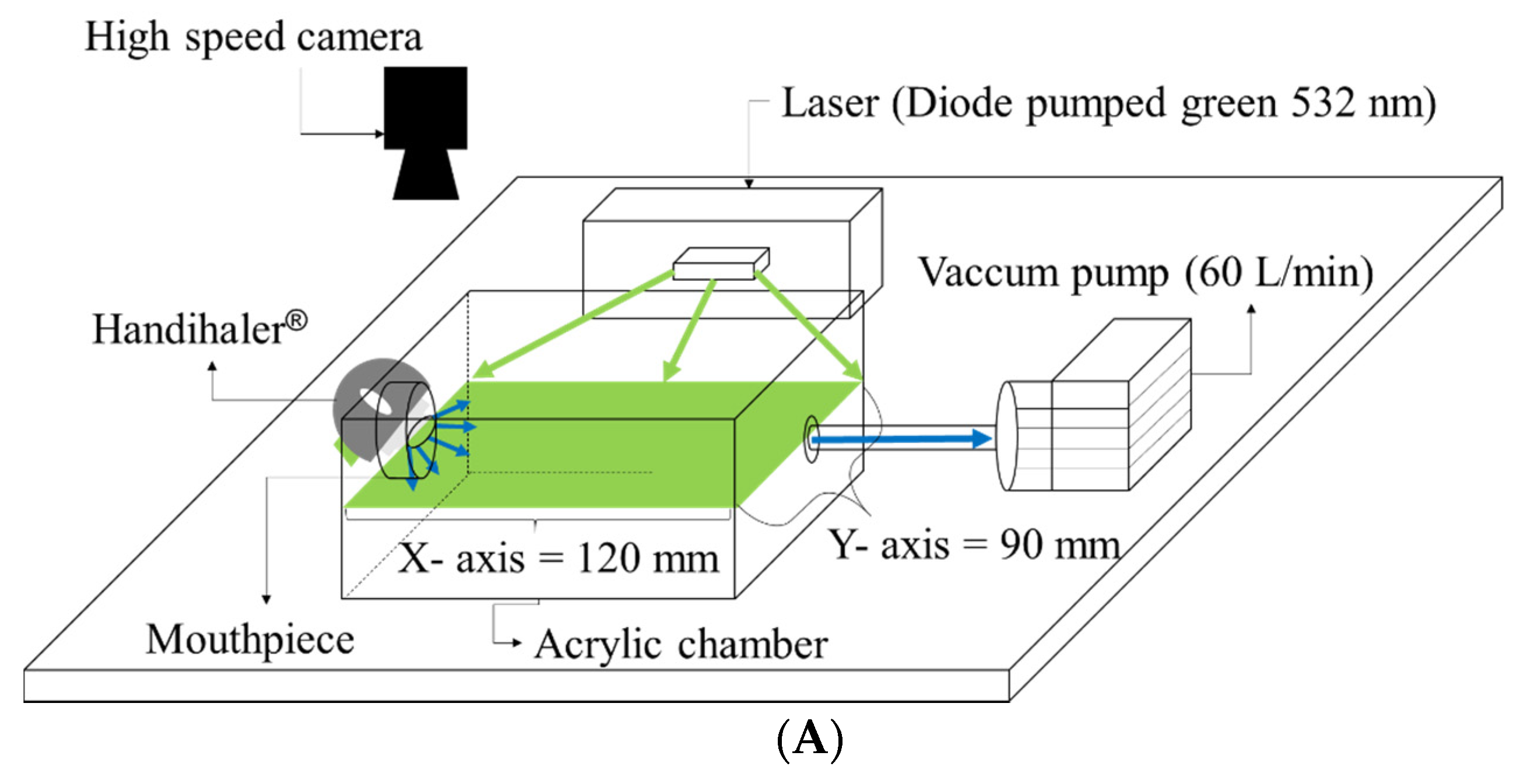 Pharmaceutics 12 00765 g001a
