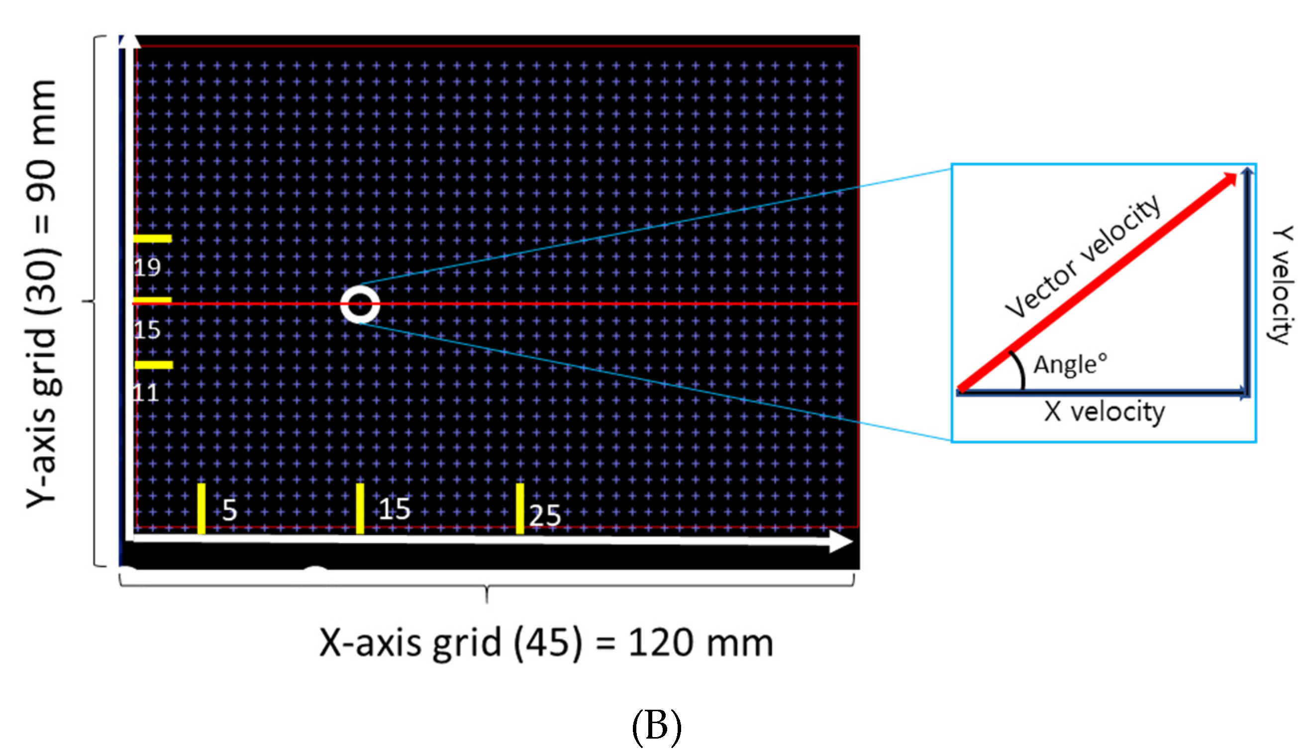 Pharmaceutics 12 00765 g001b